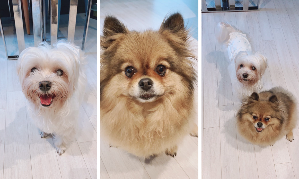 영광이랑까미에요^^