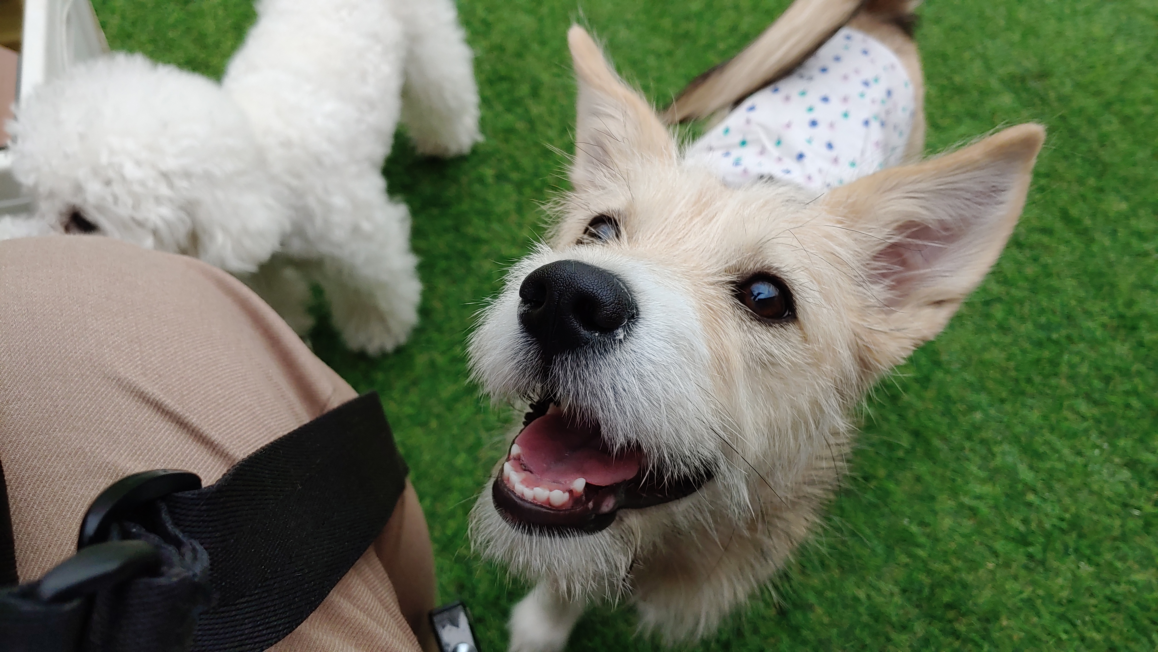 미루 (마노) 3개월 이야기