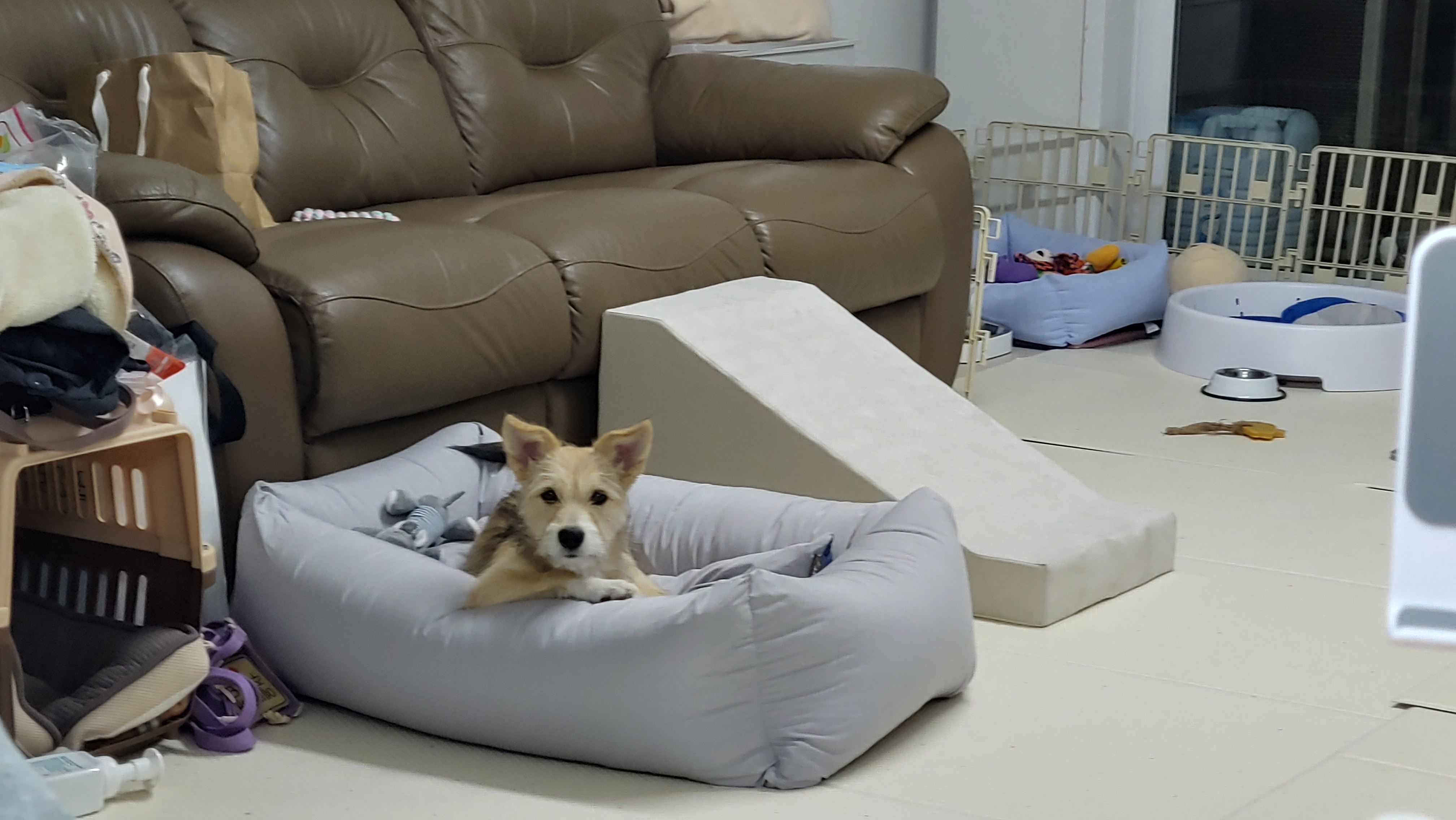 미루 (마노) 3개월 이야기