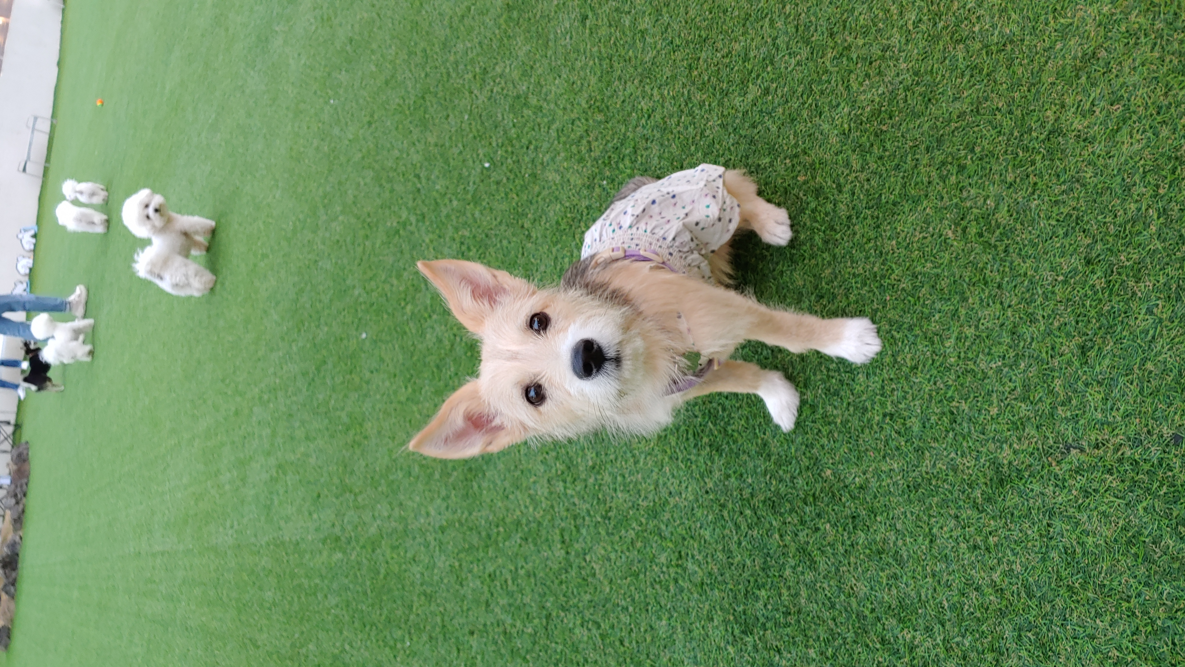 미루 (마노) 3개월 이야기