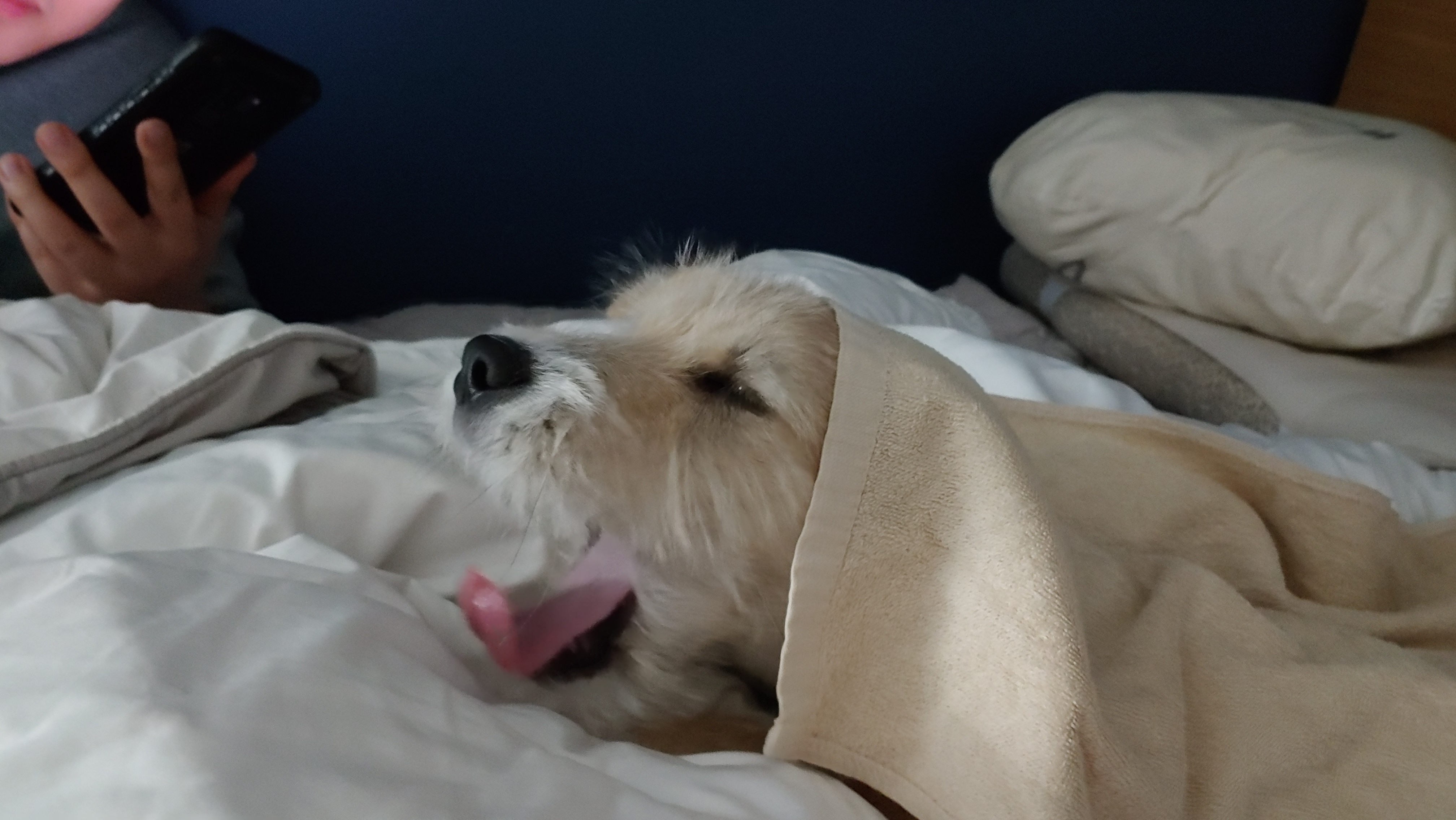 미루 (마노) 3개월 이야기