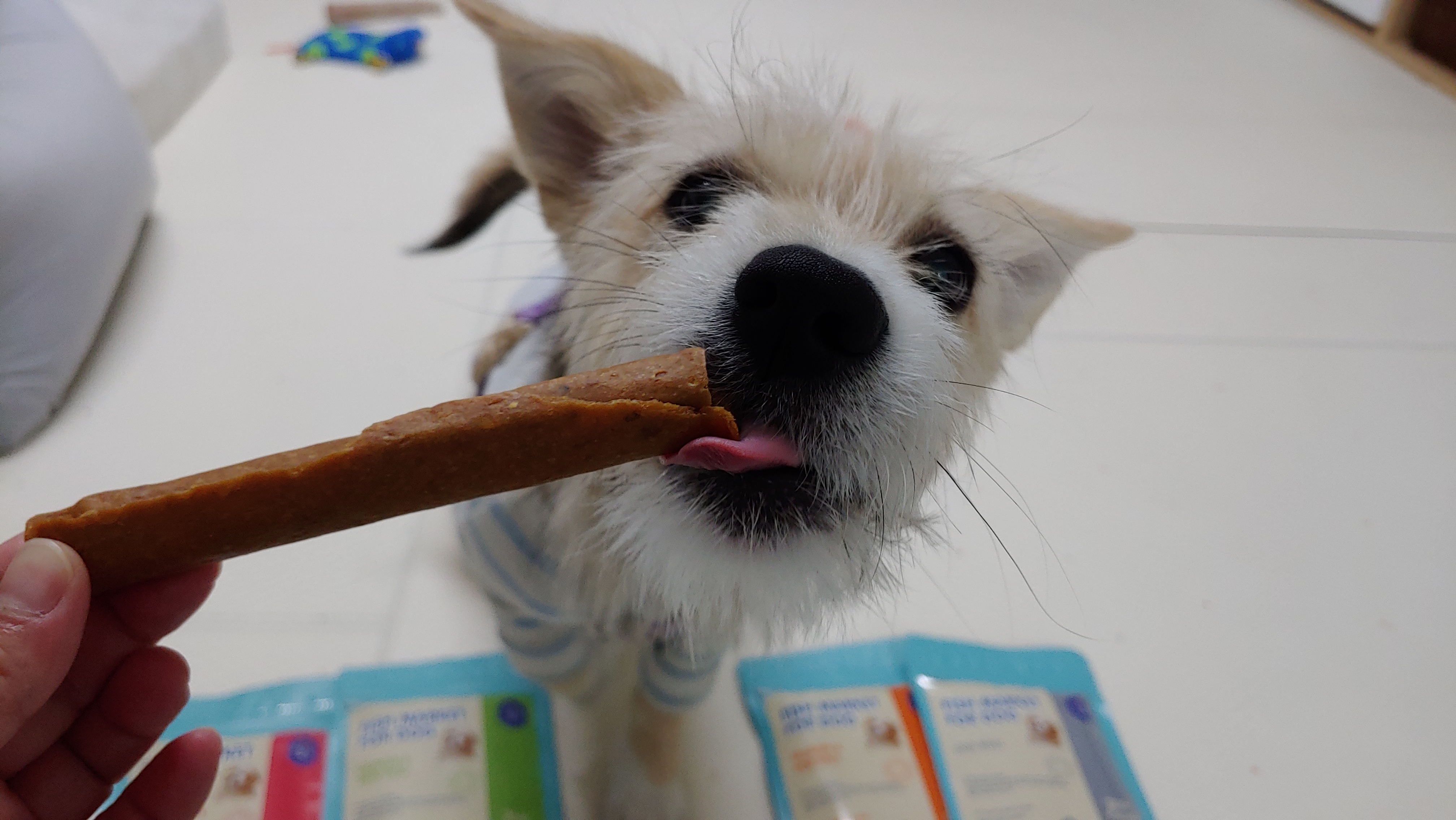 미루 (마노) 3개월 이야기