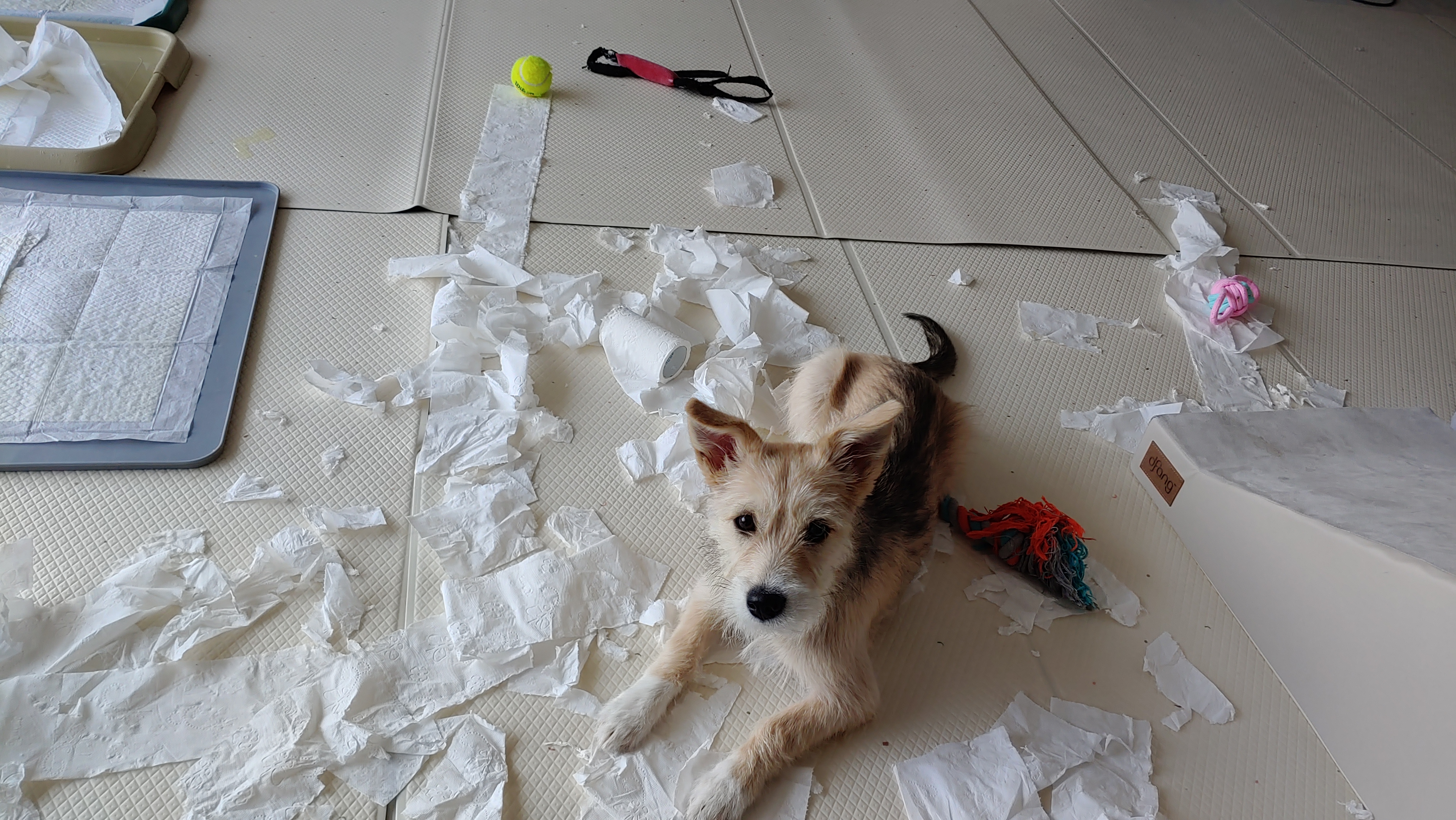 미루 (마노) 3개월 이야기