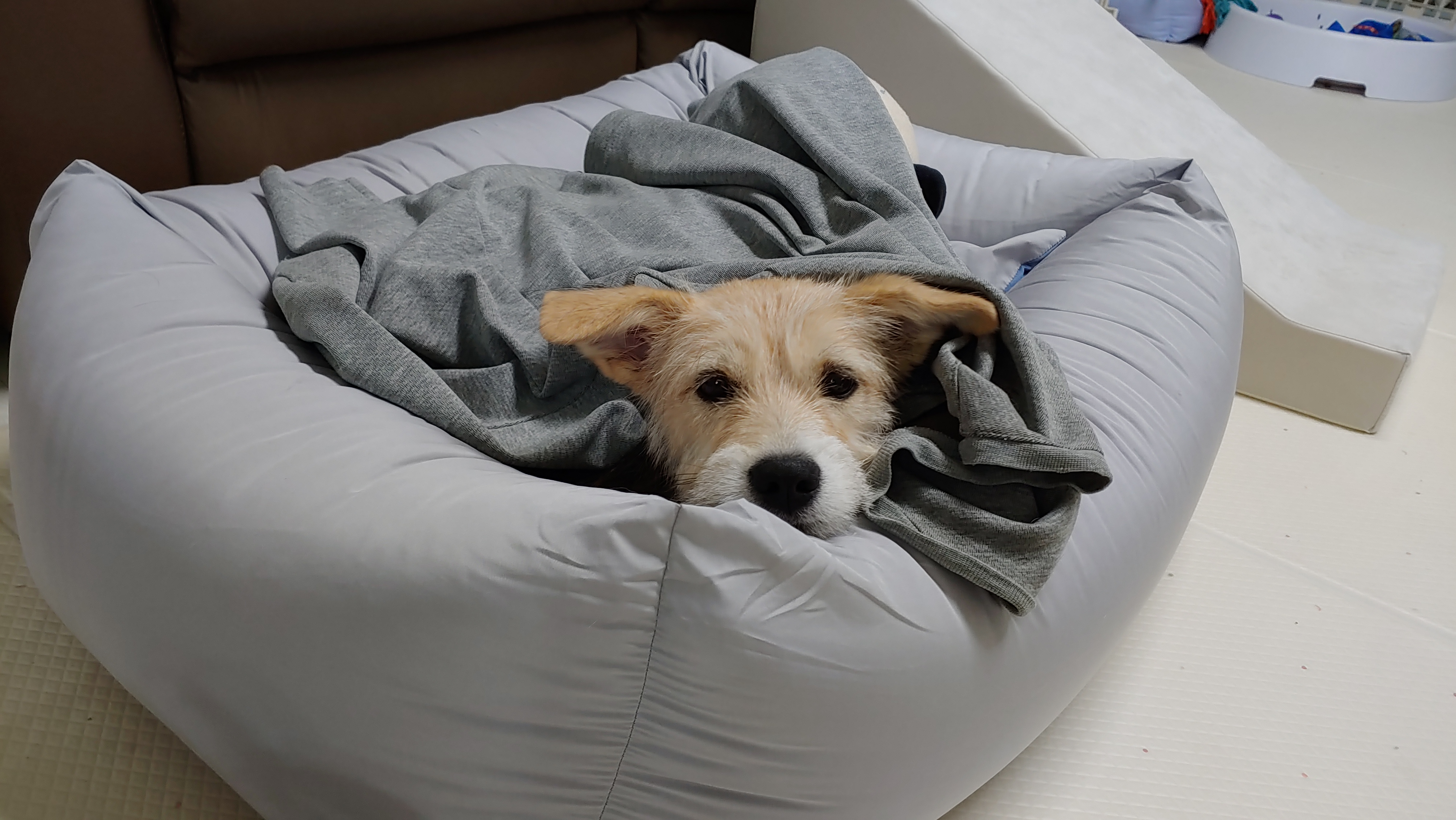 미루 (마노) 3개월 이야기