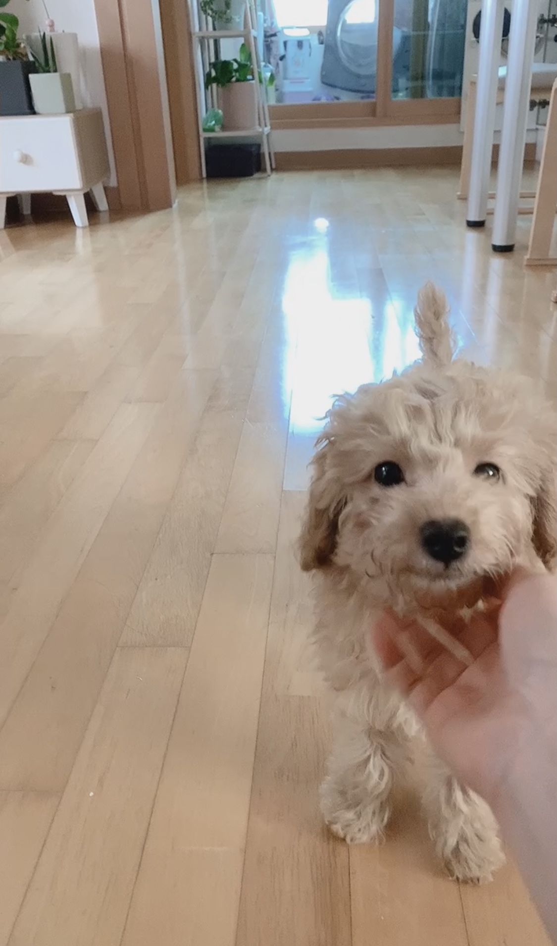 초이 한달 소식 전해드려요~^^(해삼이)