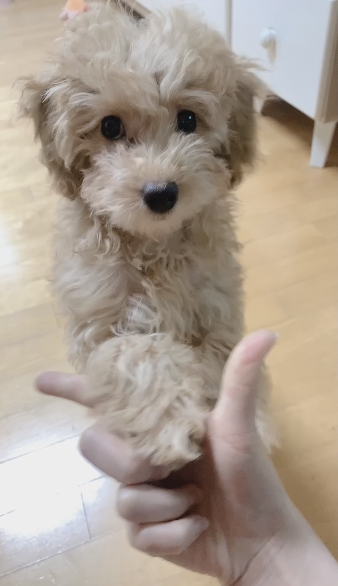 초이 한달 소식 전해드려요~^^(해삼이)