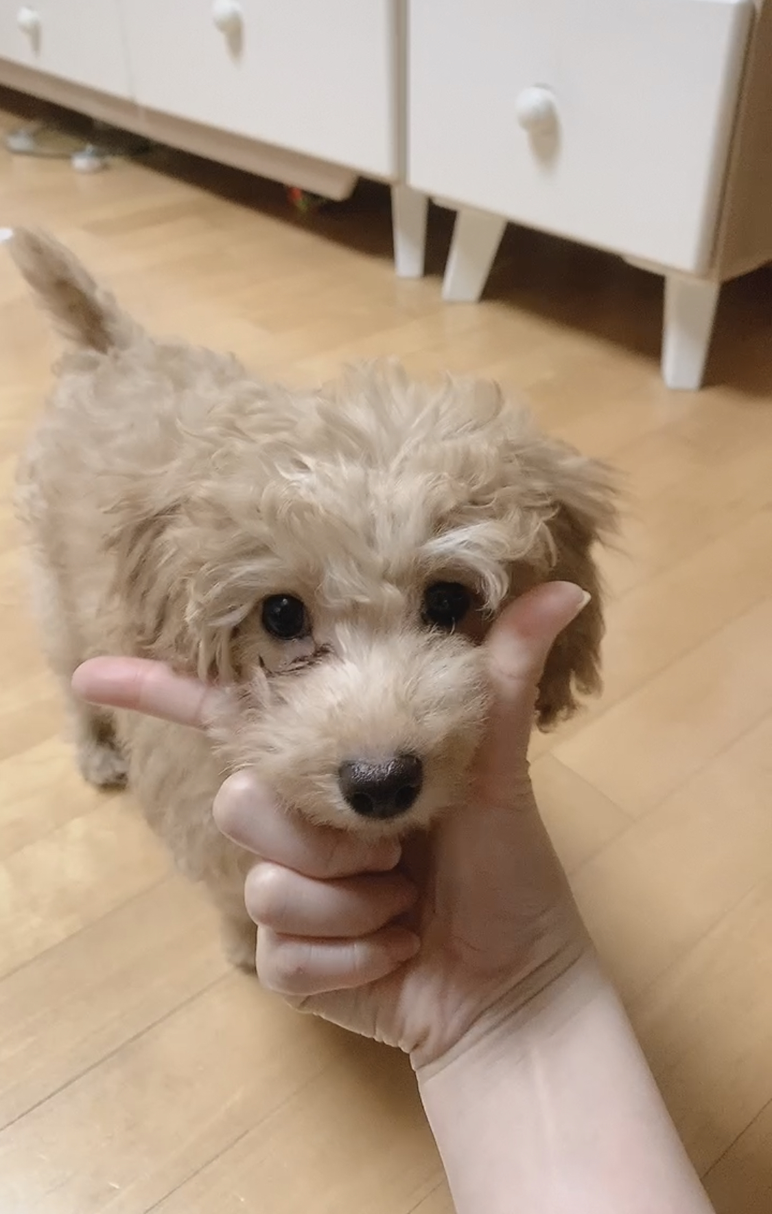 초이 한달 소식 전해드려요~^^(해삼이)