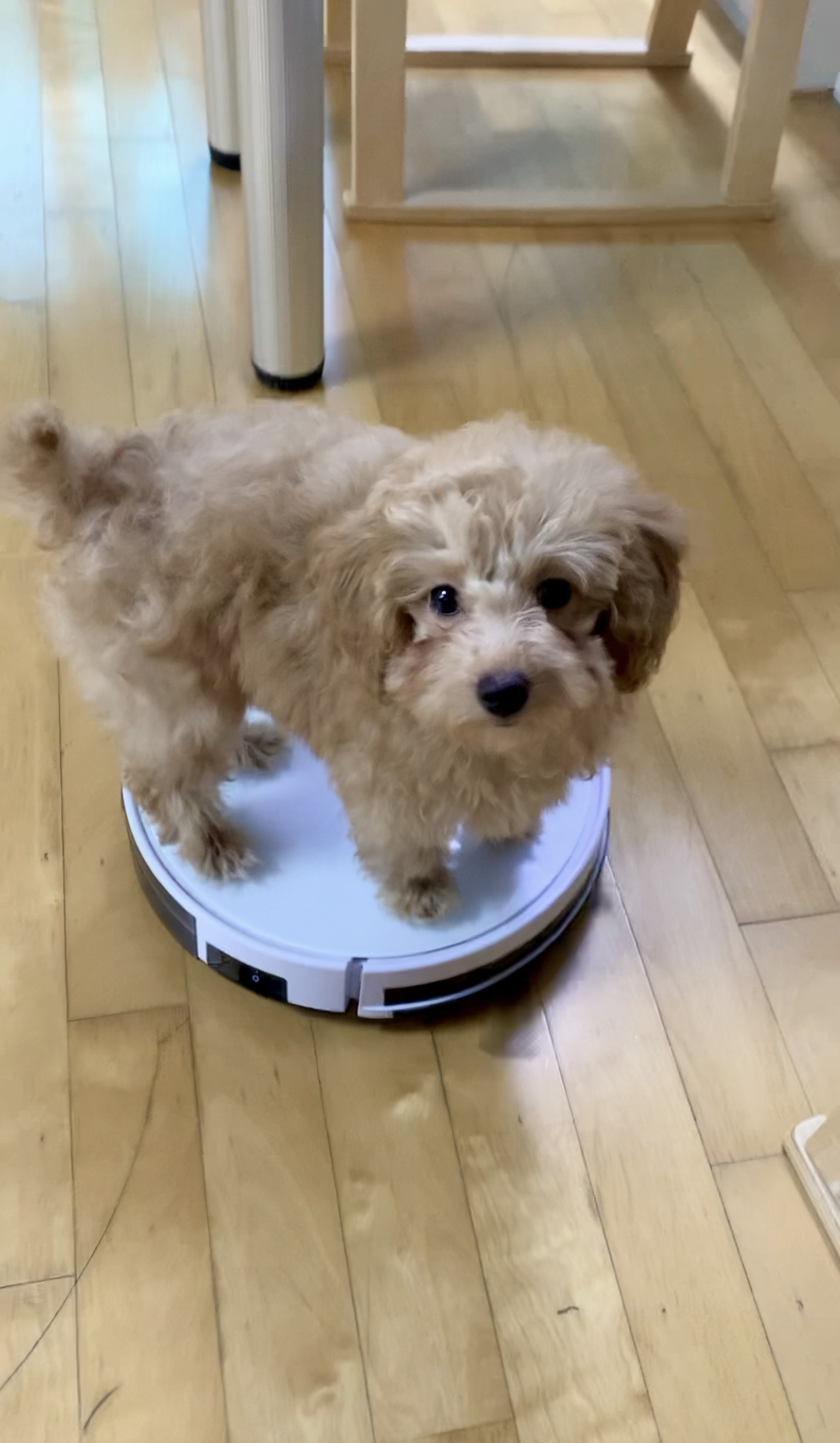 초이 한달 소식 전해드려요~^^(해삼이)