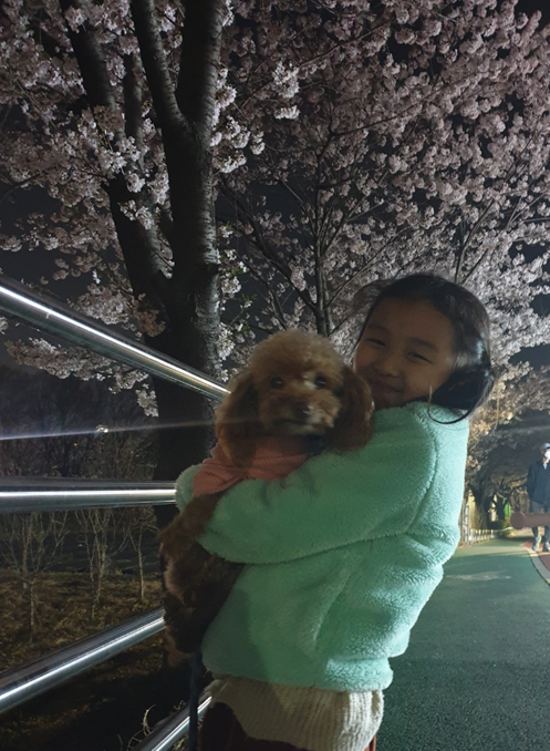 영천번식장 보들이 입양1주년기입니다