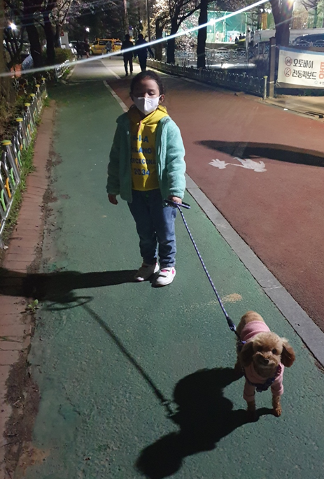 영천번식장 보들이 입양1주년기입니다