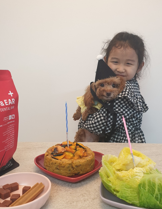 영천번식장 보들이 입양1주년기입니다