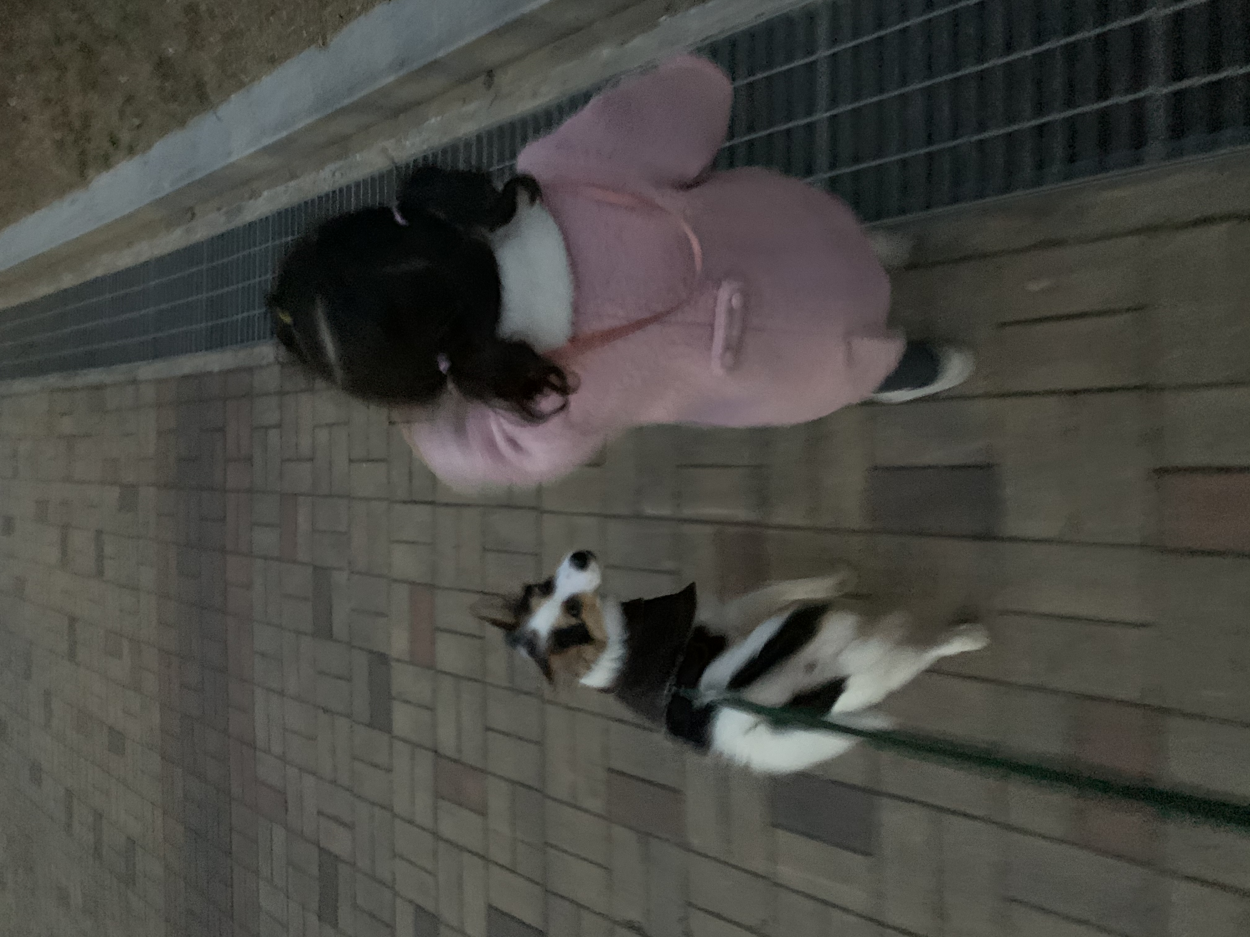 마블이 입양한지 벌써 3개월이 되었어요!