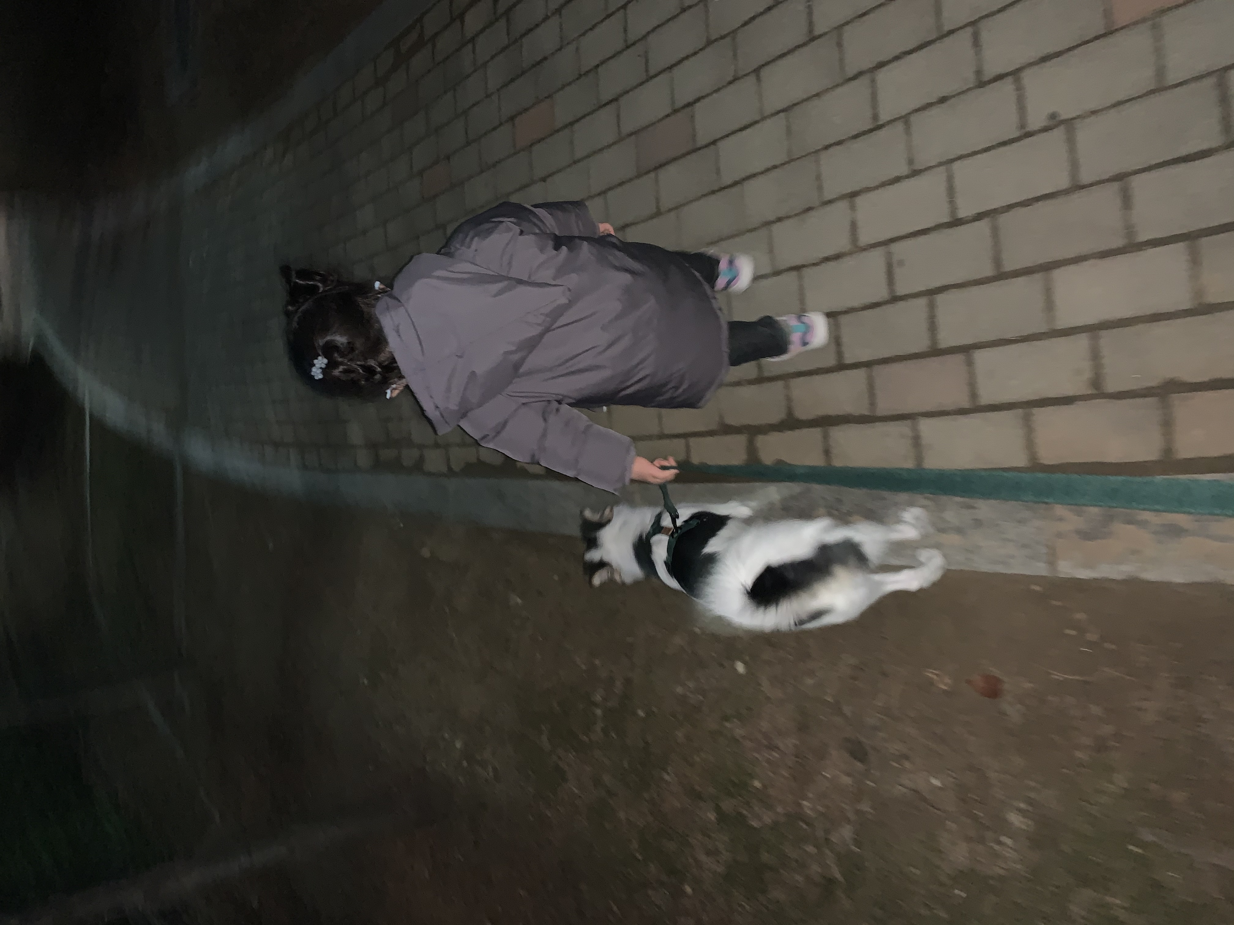 마블이 입양한지 벌써 3개월이 되었어요!