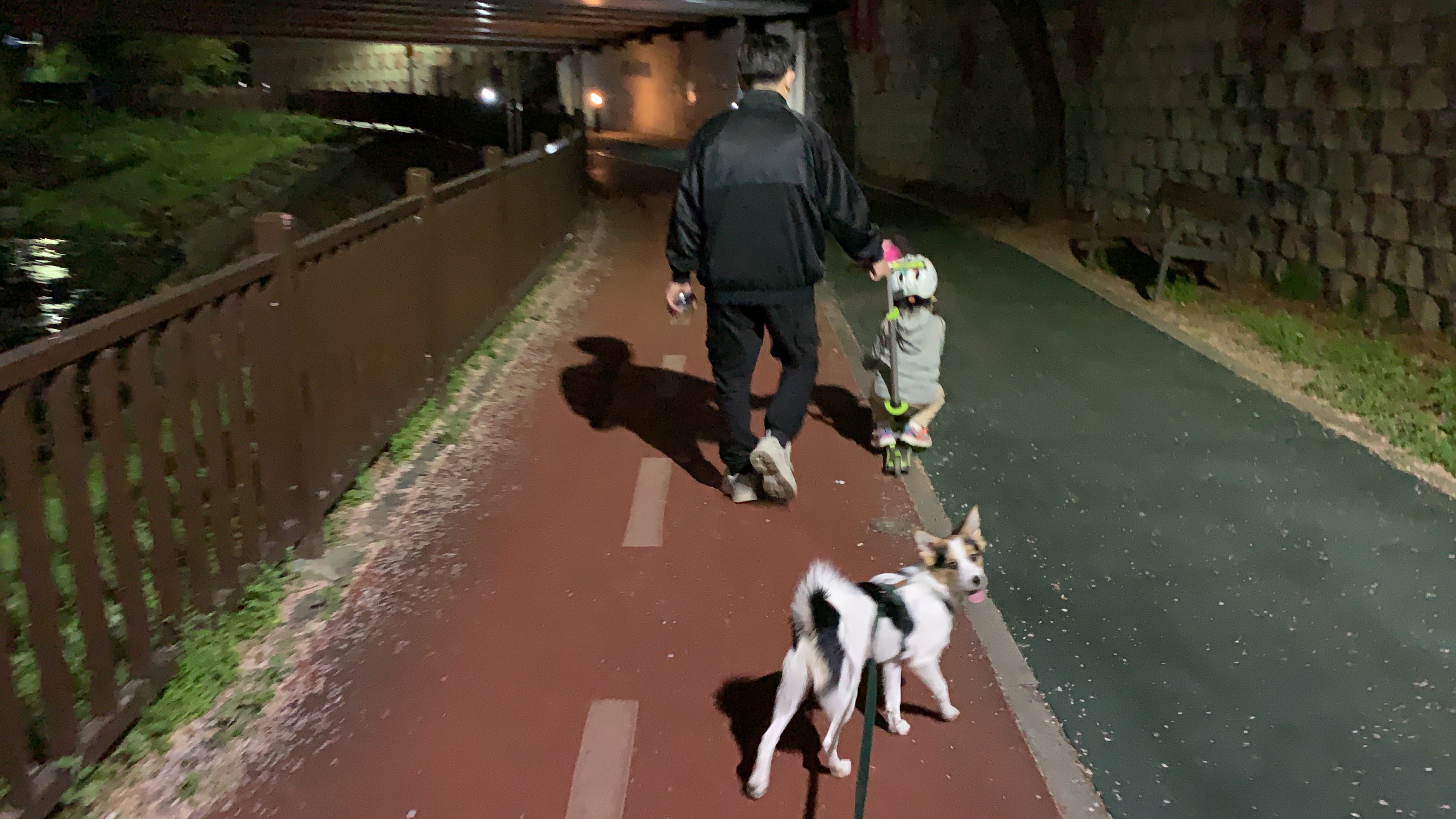 마블이 입양한지 벌써 3개월이 되었어요!