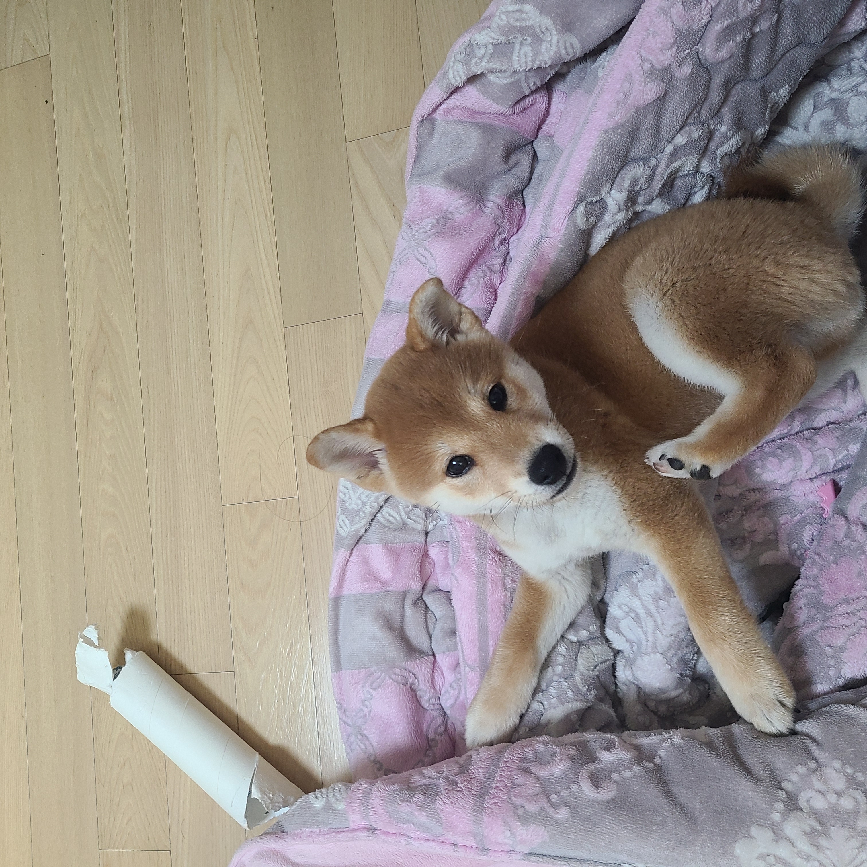 곤지암 세시 1달 ❤