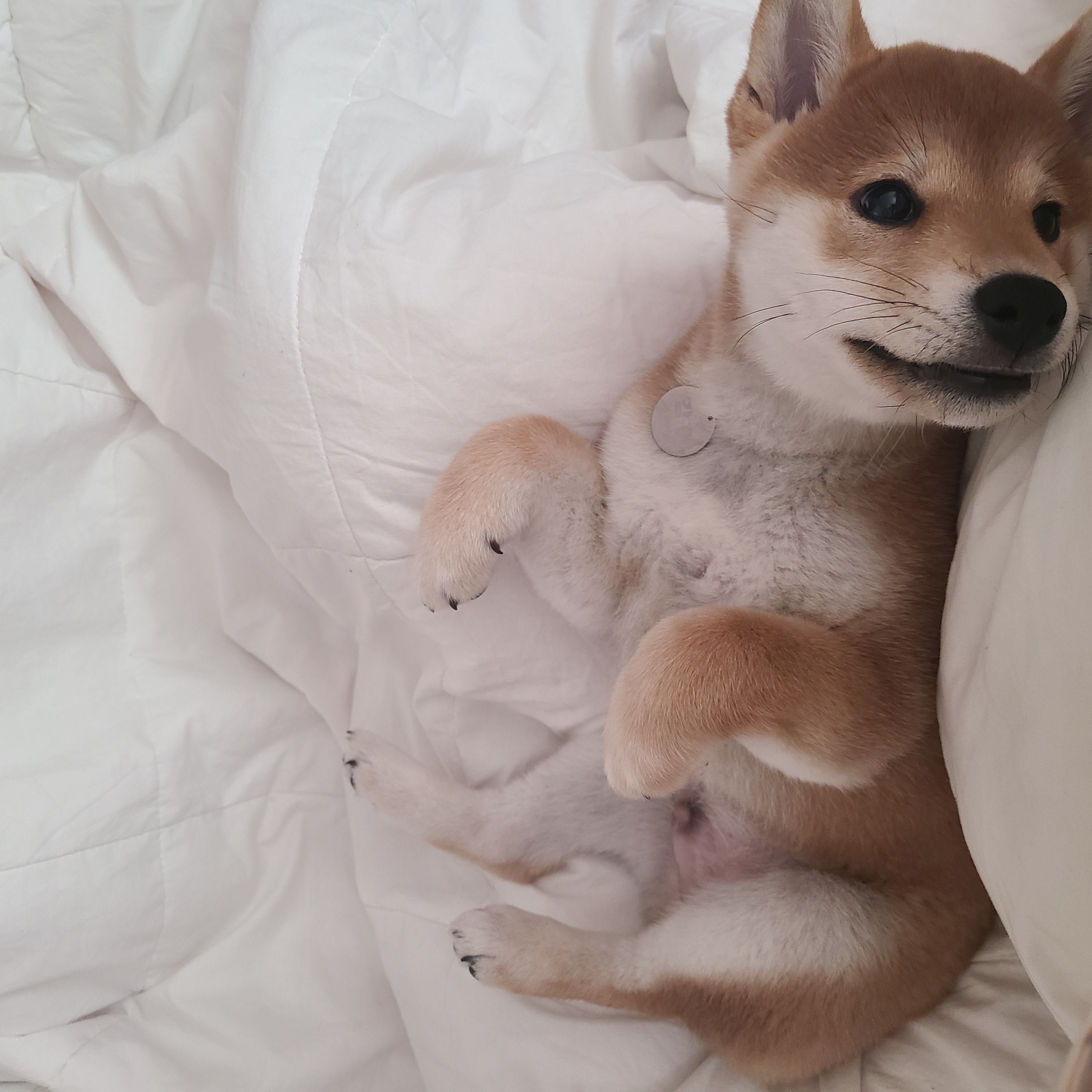 곤지암 세시 1달 ❤