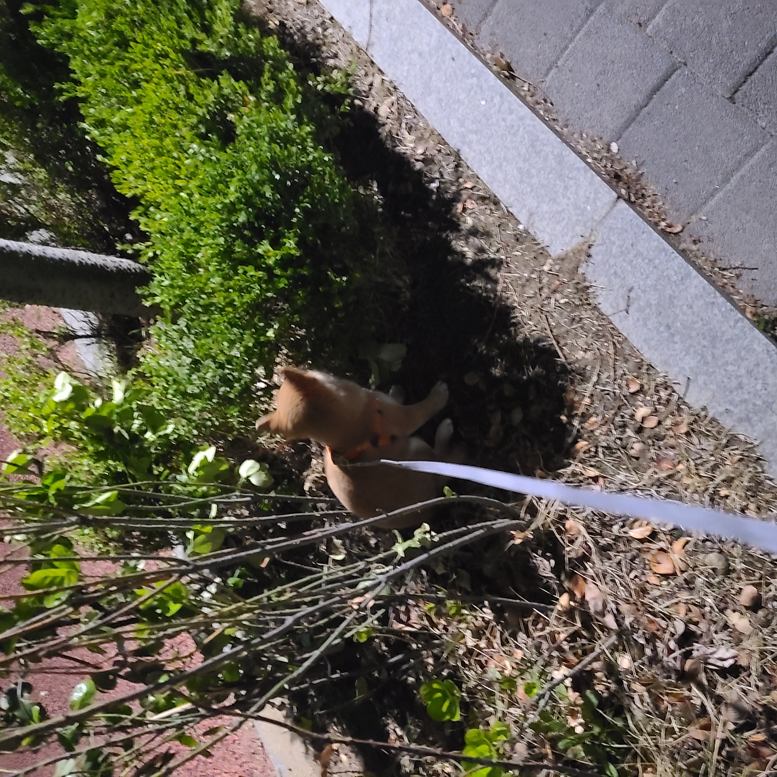 곤지암 세시 1달 ❤