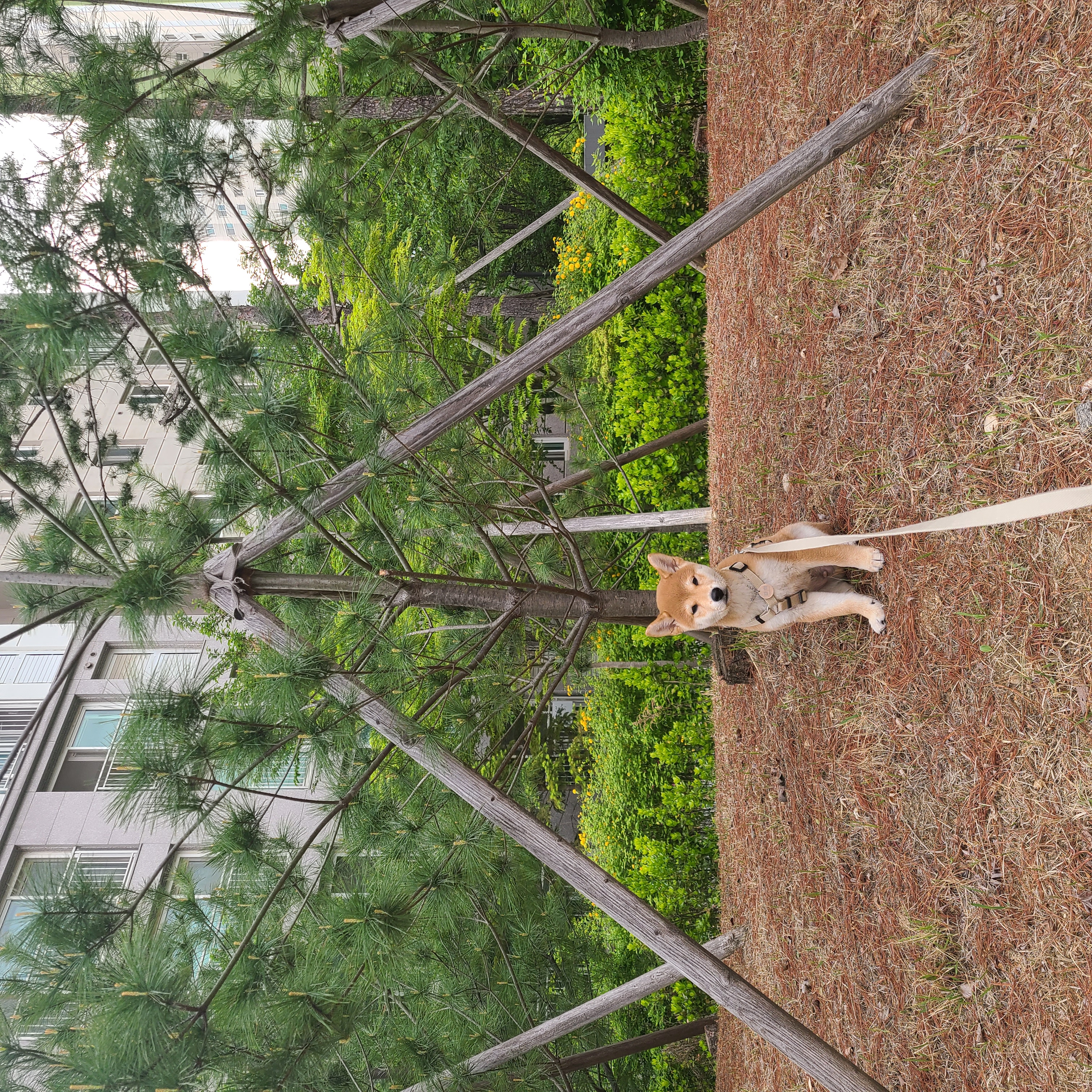 곤지암 세시 1달 ❤