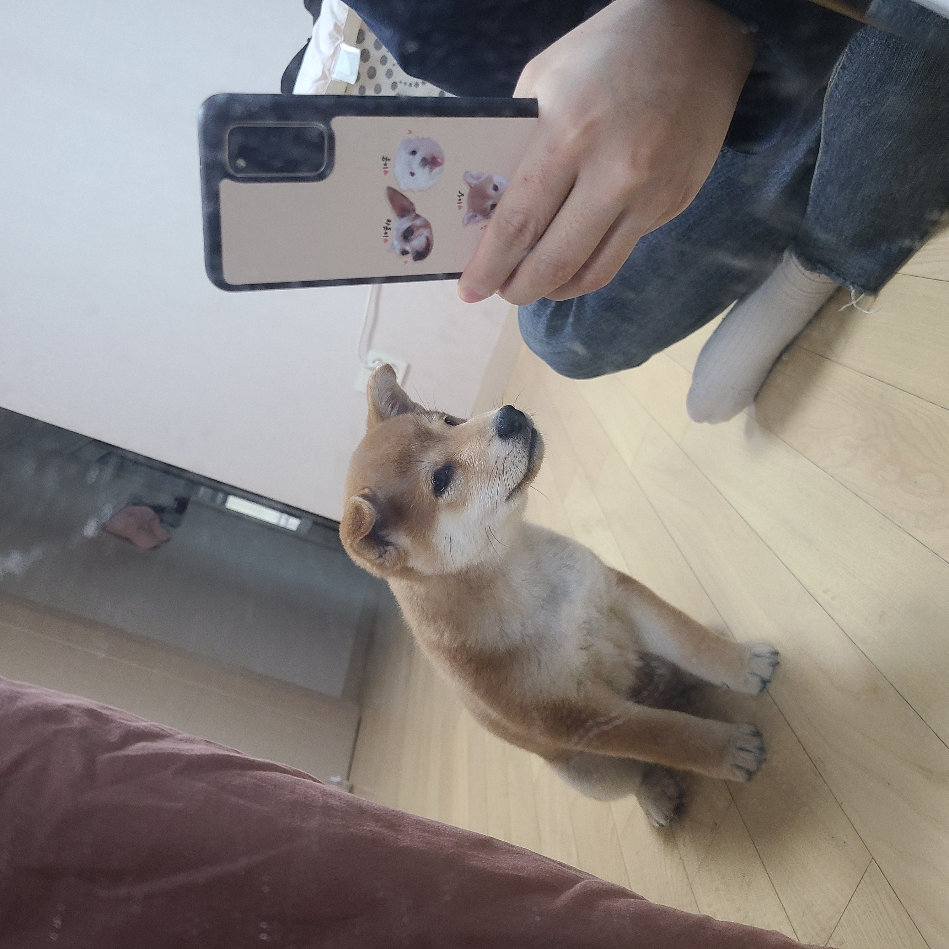 곤지암 세시 1달 ❤