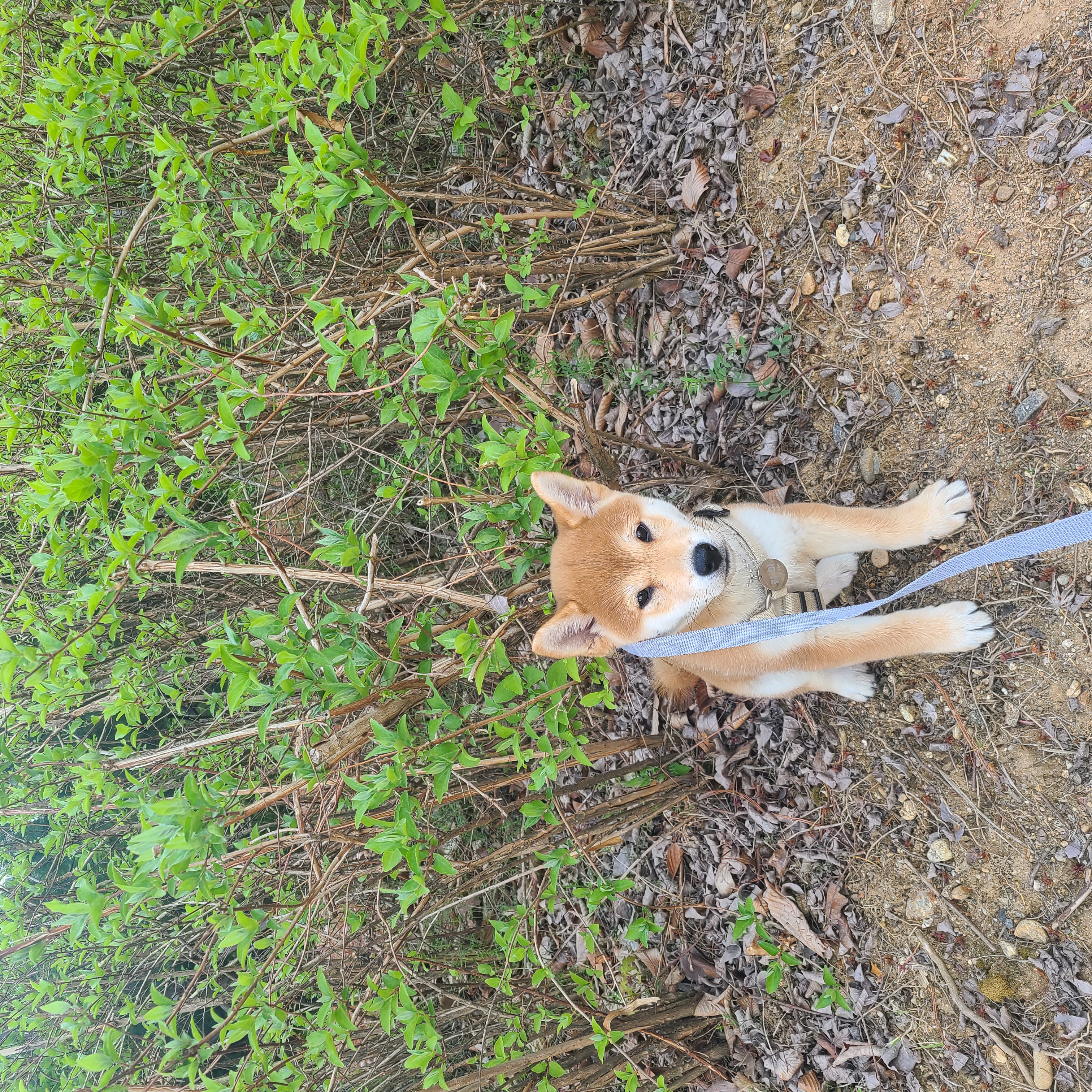 곤지암 세시 1달 ❤