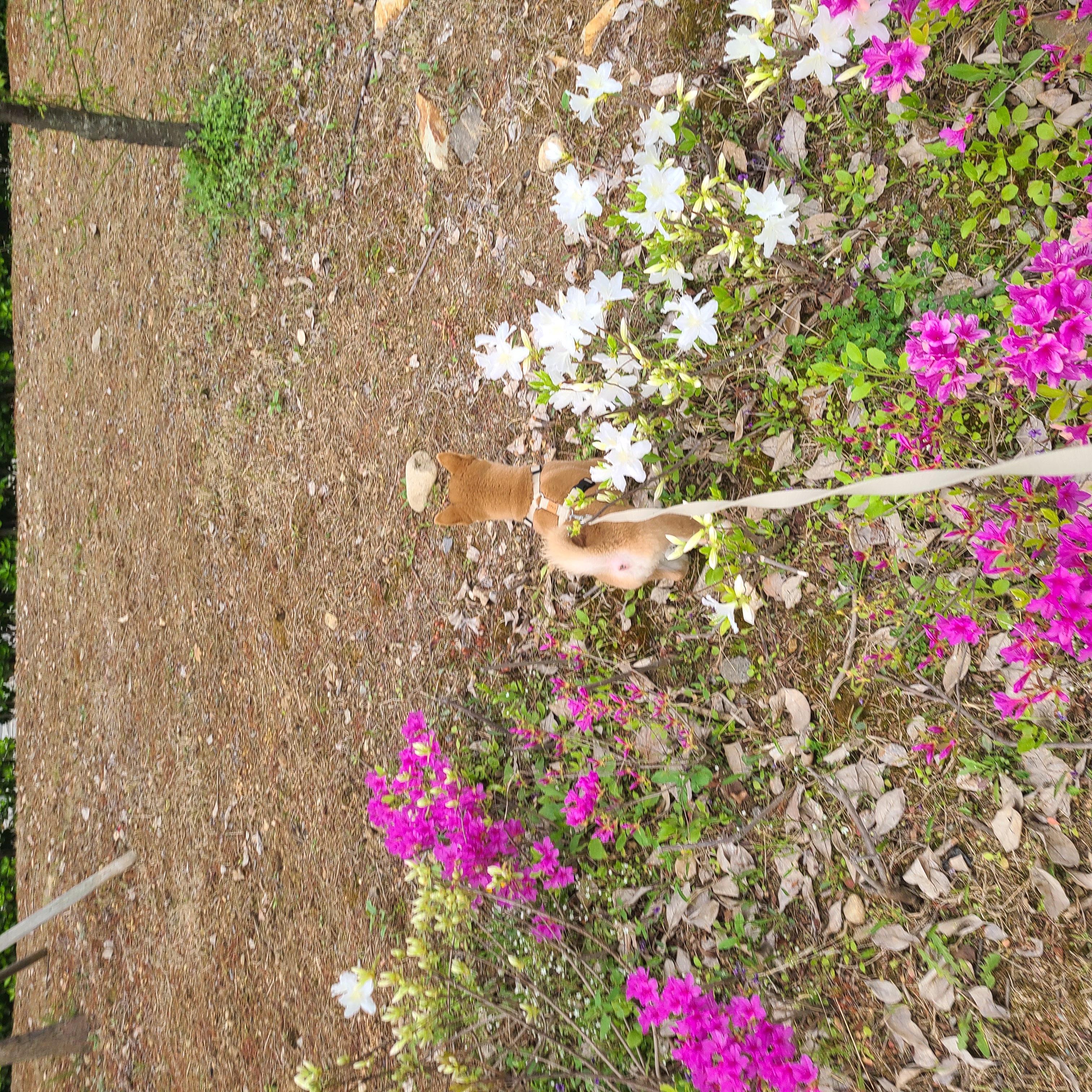 곤지암 세시 1달 ❤