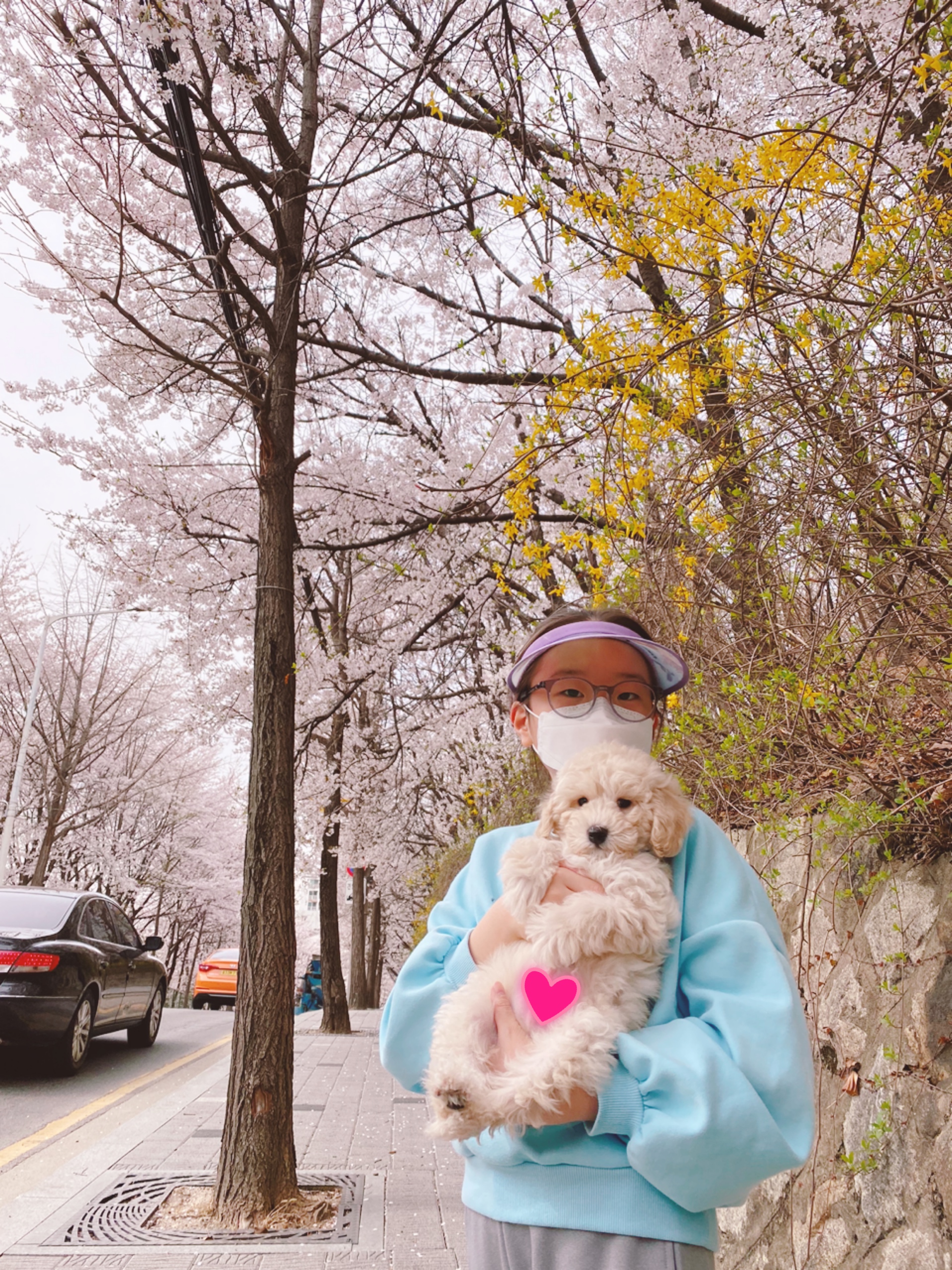 곤지암 구조견 쿠크의 자견 연지 (심쿵) 한달 입양후기