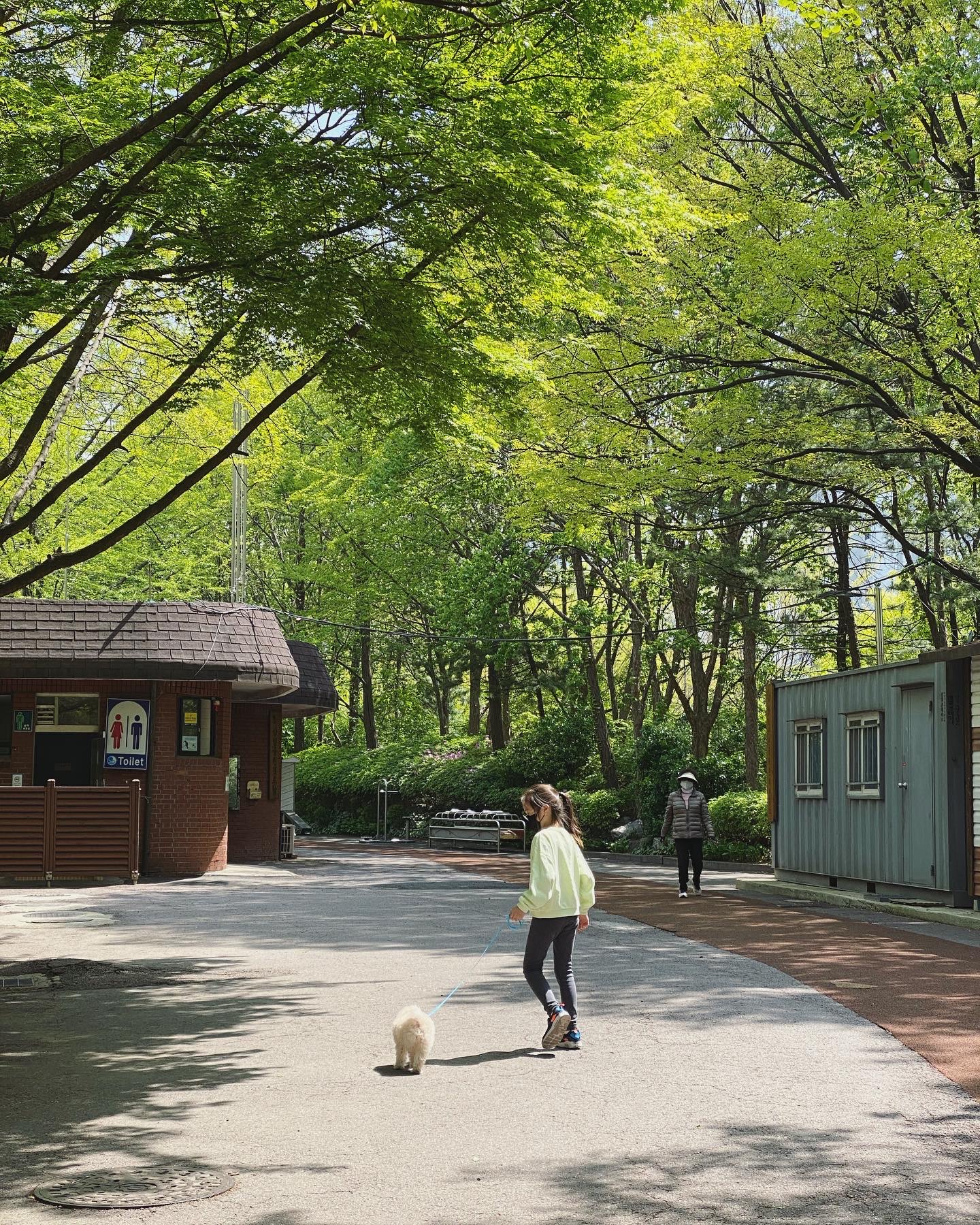 곤지암 구조견 쿠크의 자견 연지 (심쿵) 한달 입양후기