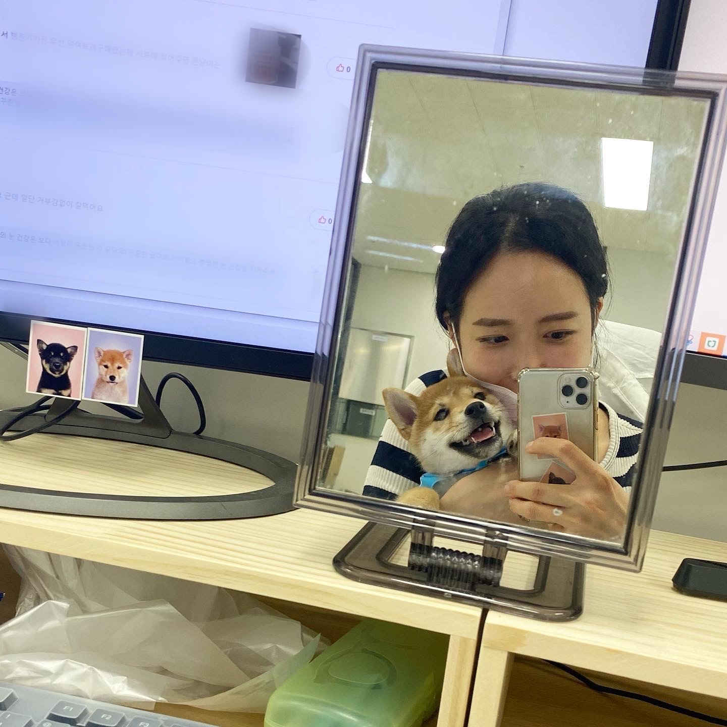 곤지암/ 한시 리오의 한 달♥︎ 