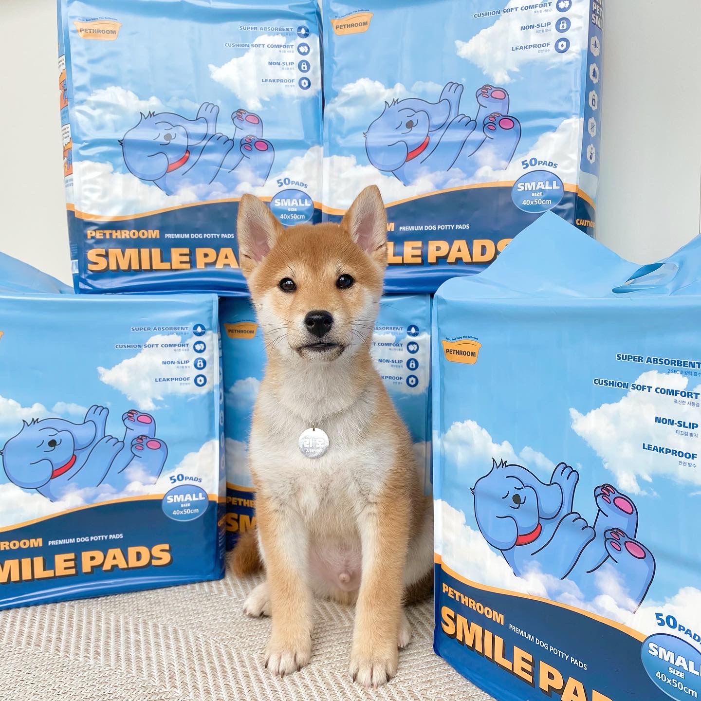 곤지암/ 한시 리오의 한 달♥︎ 