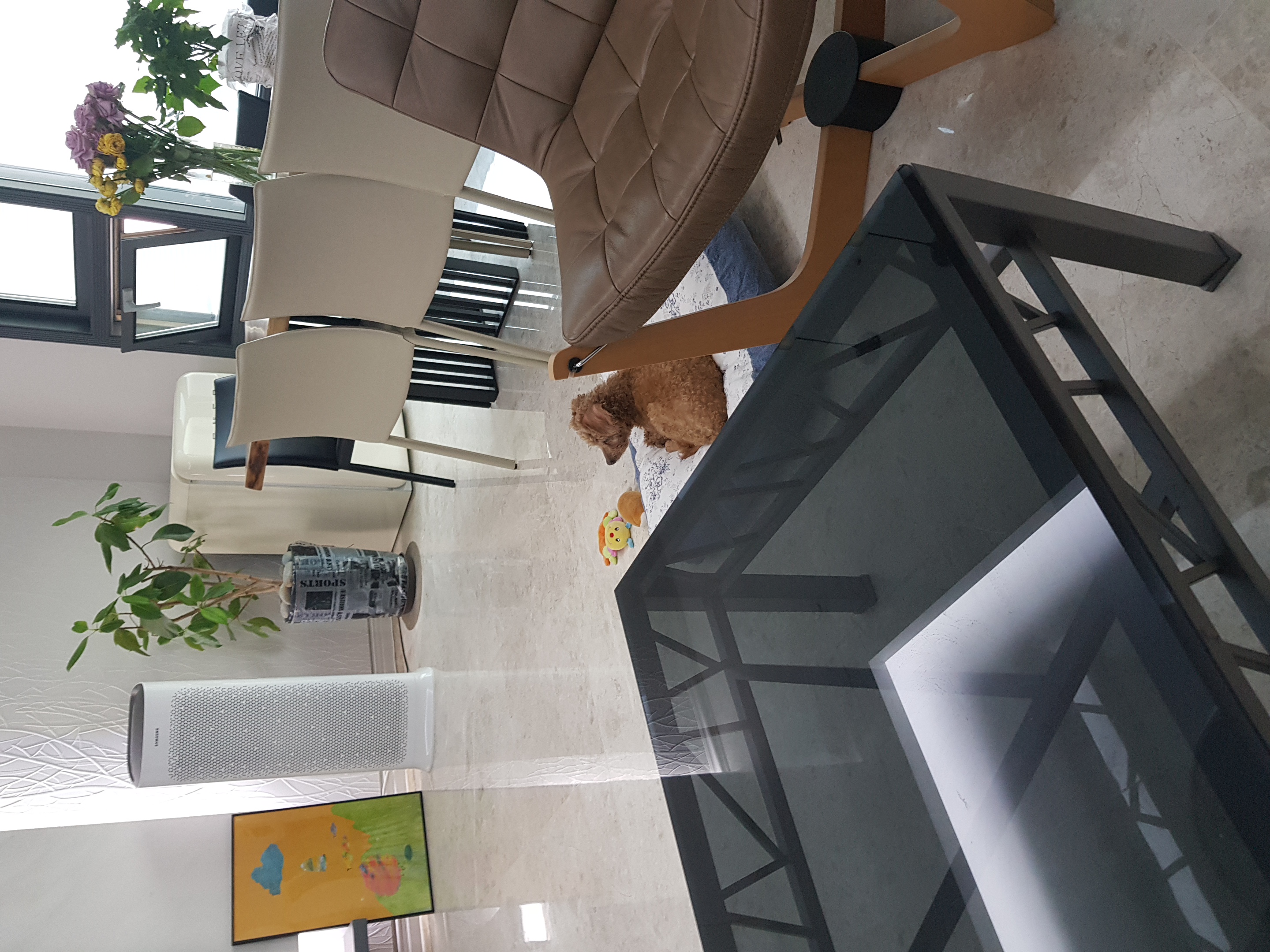 팔랑이~~(지금은  버디예요~~^^)