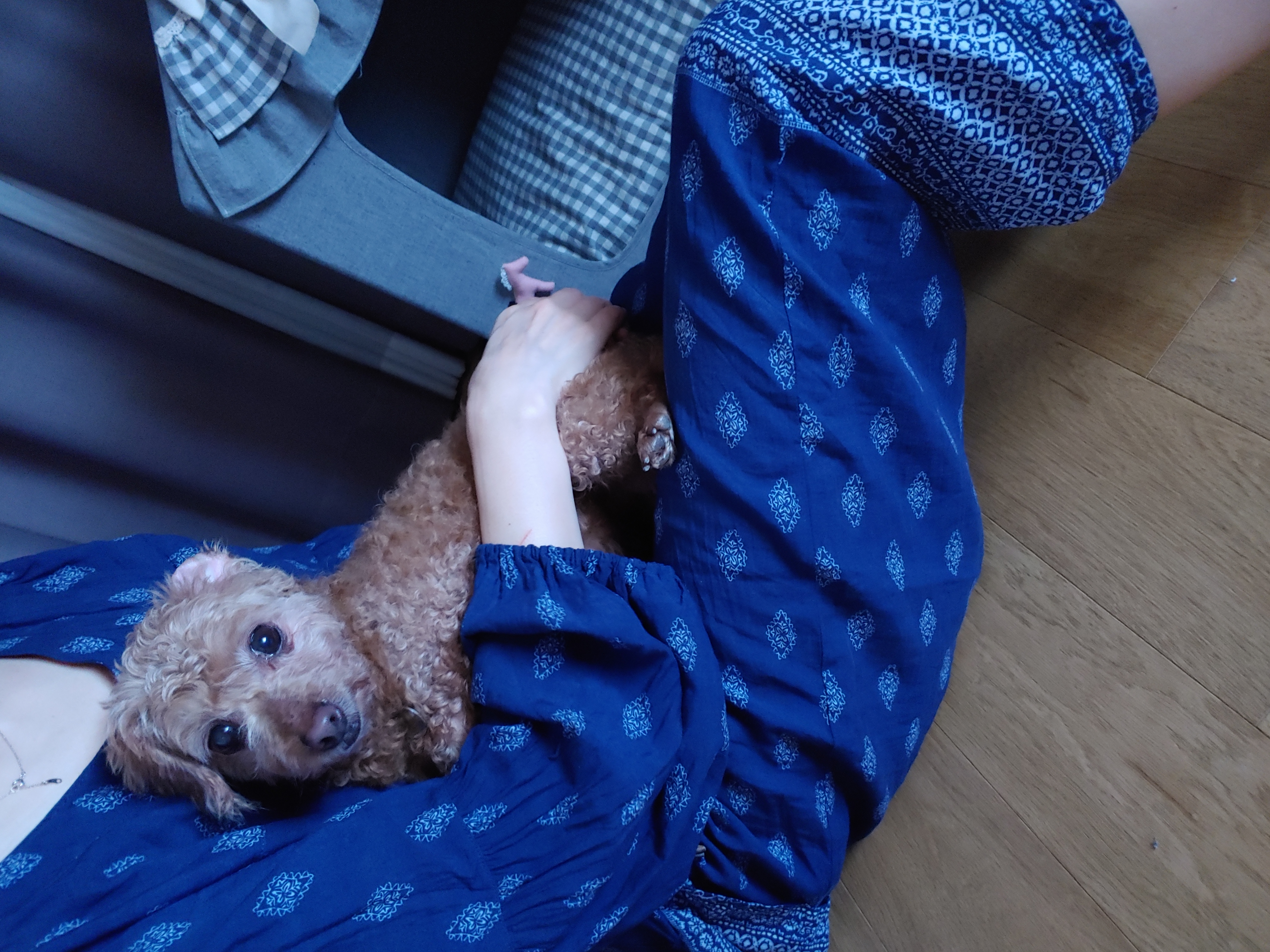 팔랑이~~(지금은  버디예요~~^^)