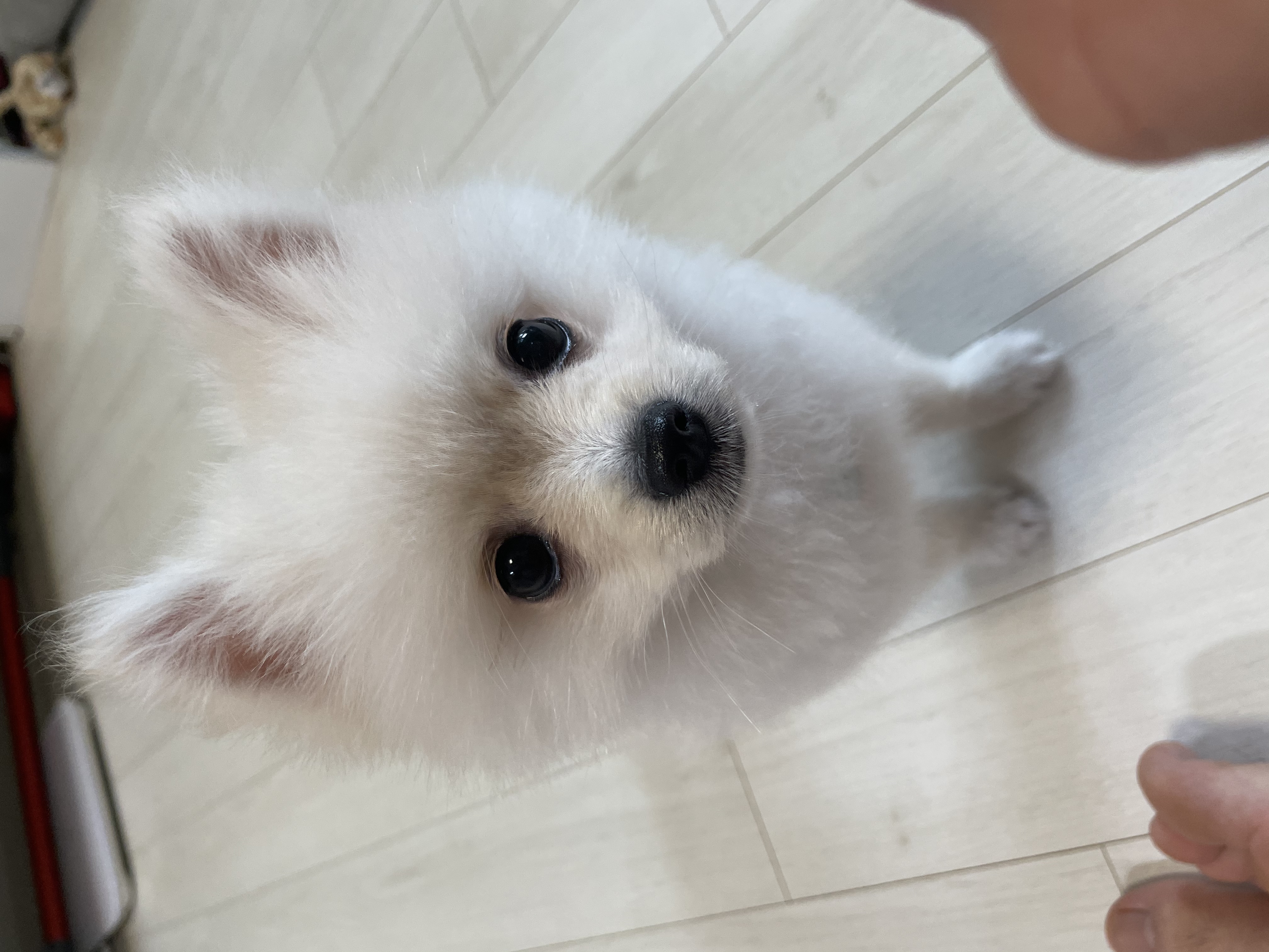 용식이(송오)한달후기