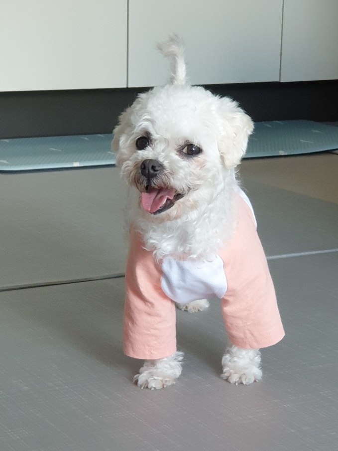 하음(구름)이 하삼(봄)이 한달됐네요!