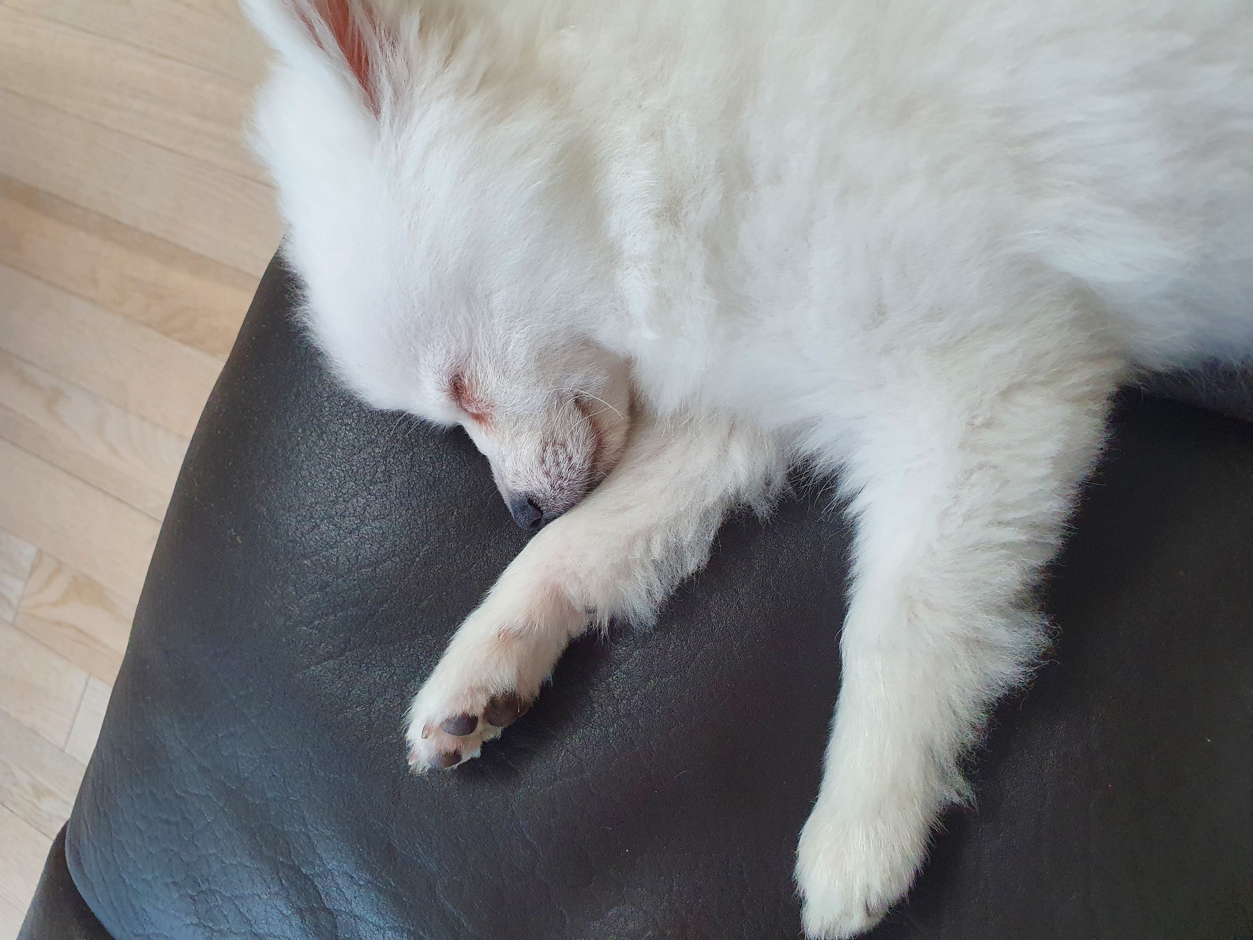 송사 일주일 지났어요