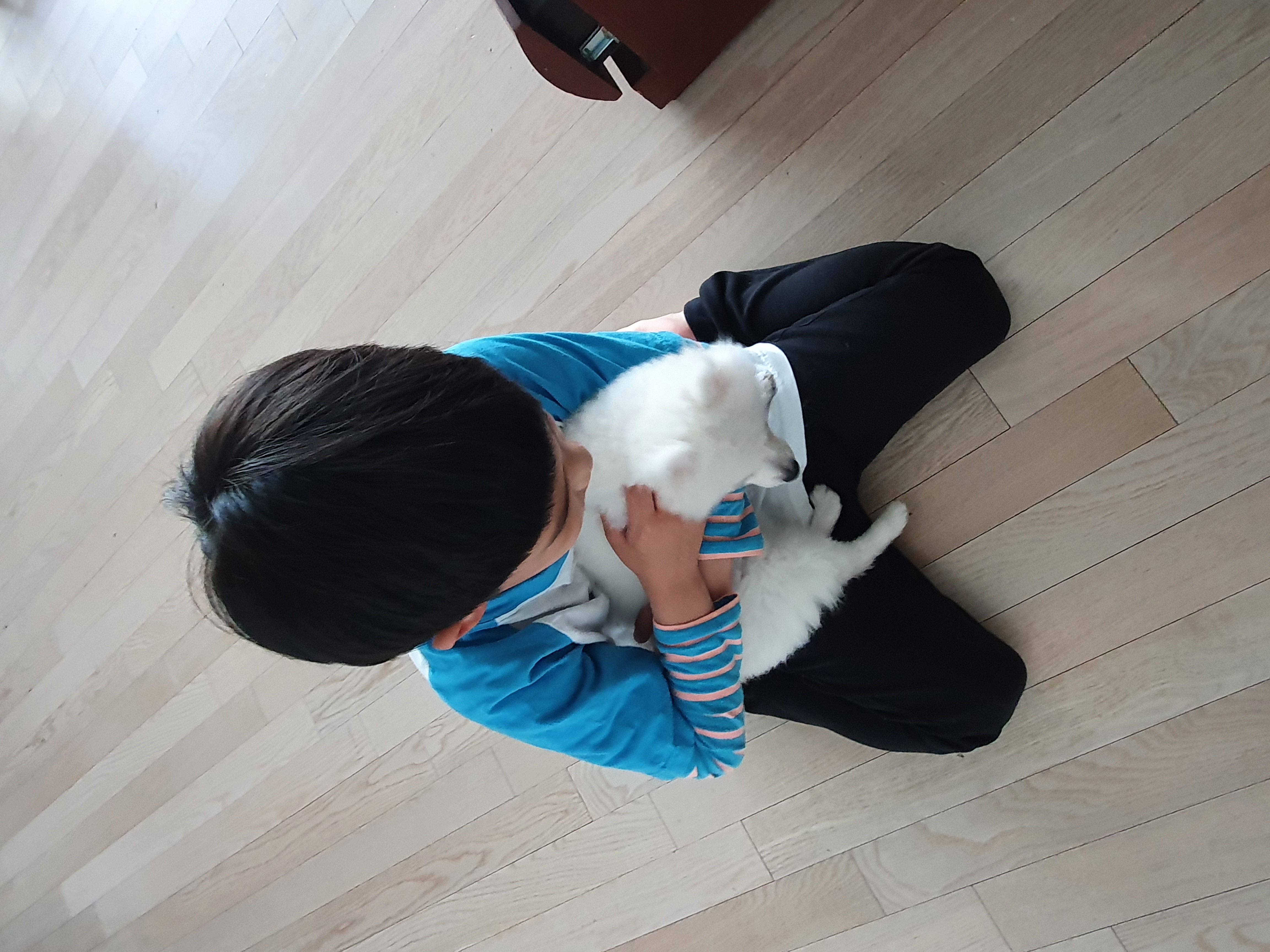 송사 일주일 지났어요