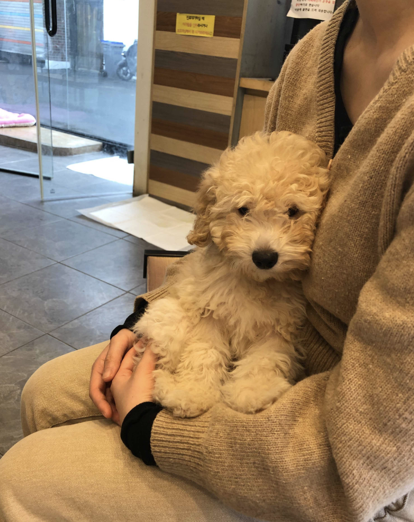 잼이(곤지암) 1달반 이야기입니다! 