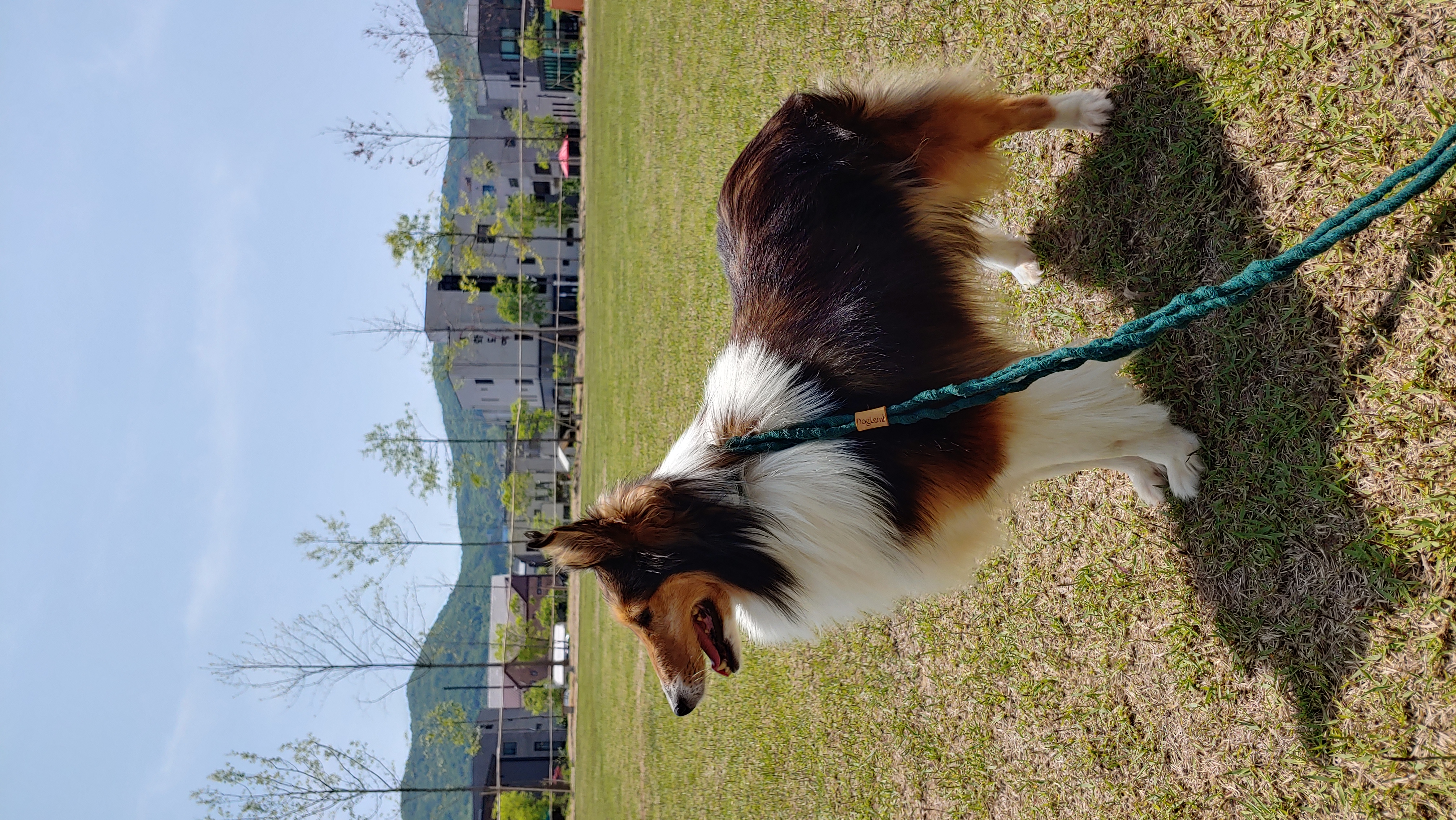 우리 보미(구 셀리) 한달 되었어요~