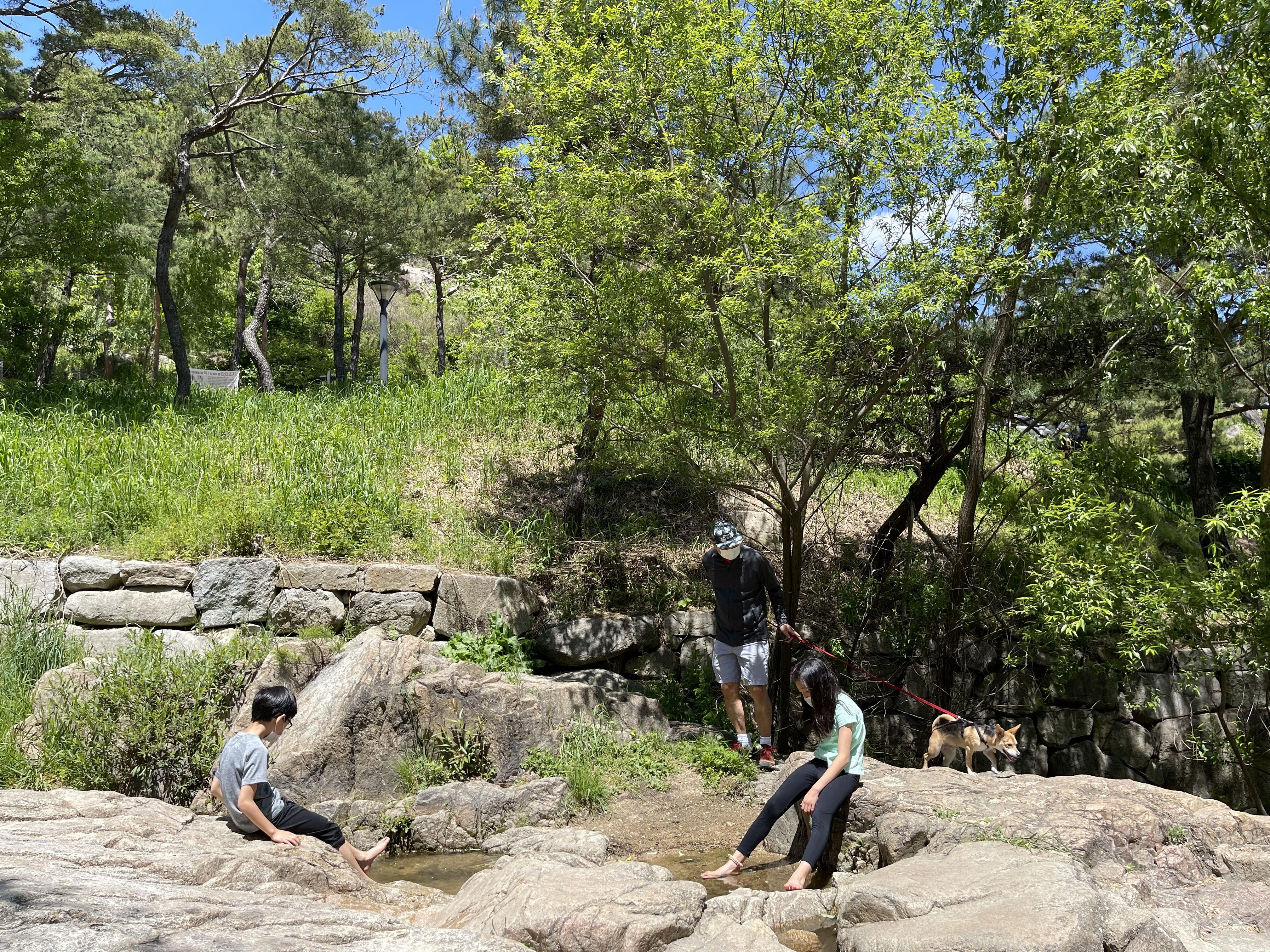 마초 입양 3개월 후기