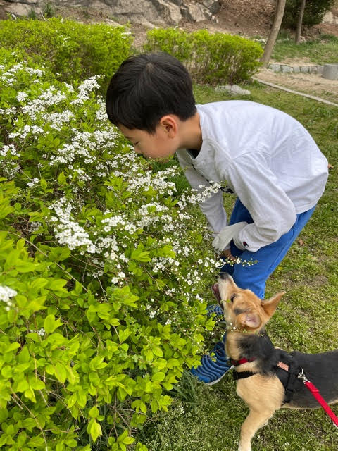 마초 입양 3개월 후기