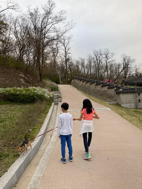 마초 입양 3개월 후기