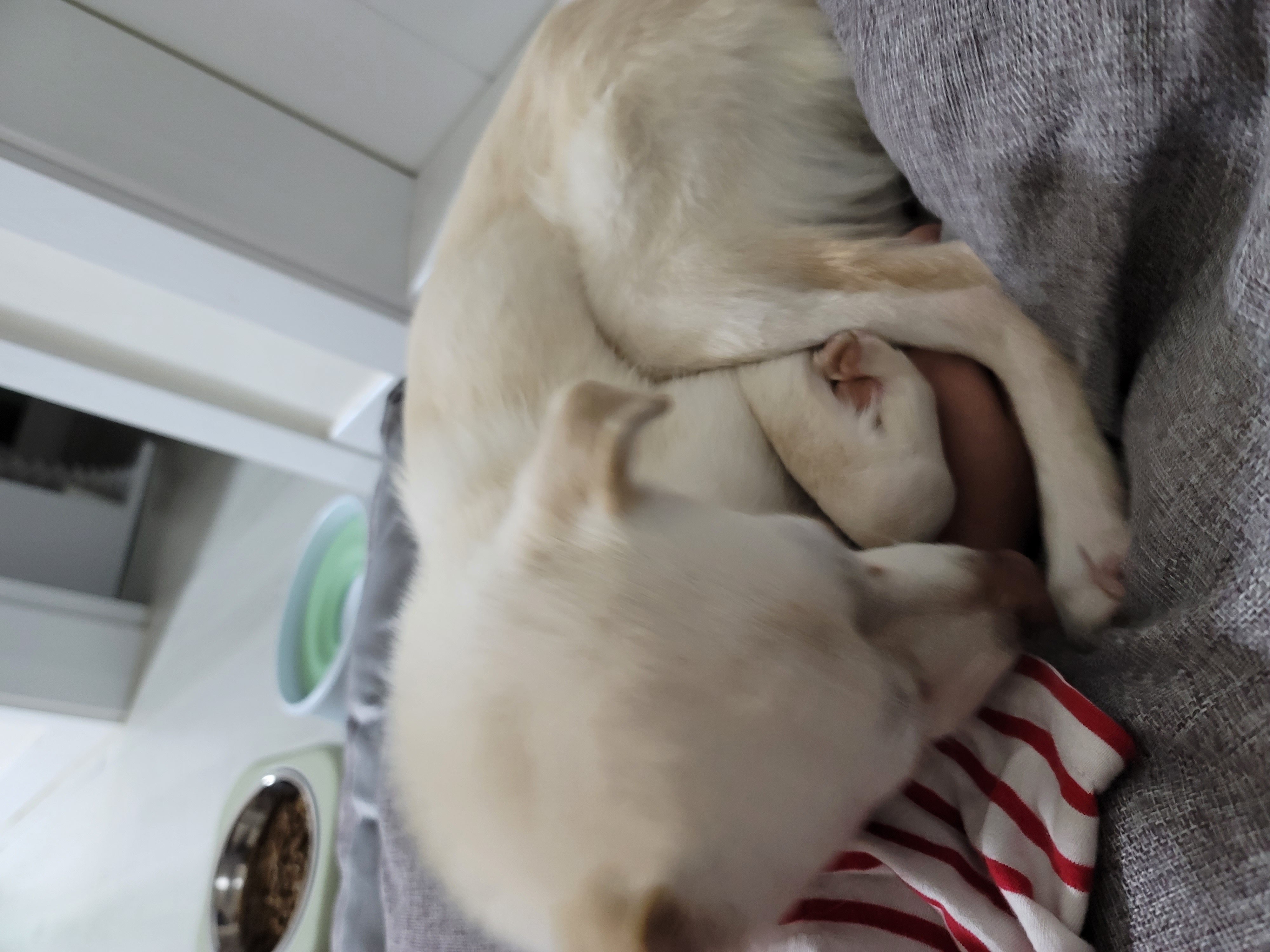 데이지 일주일 이야기