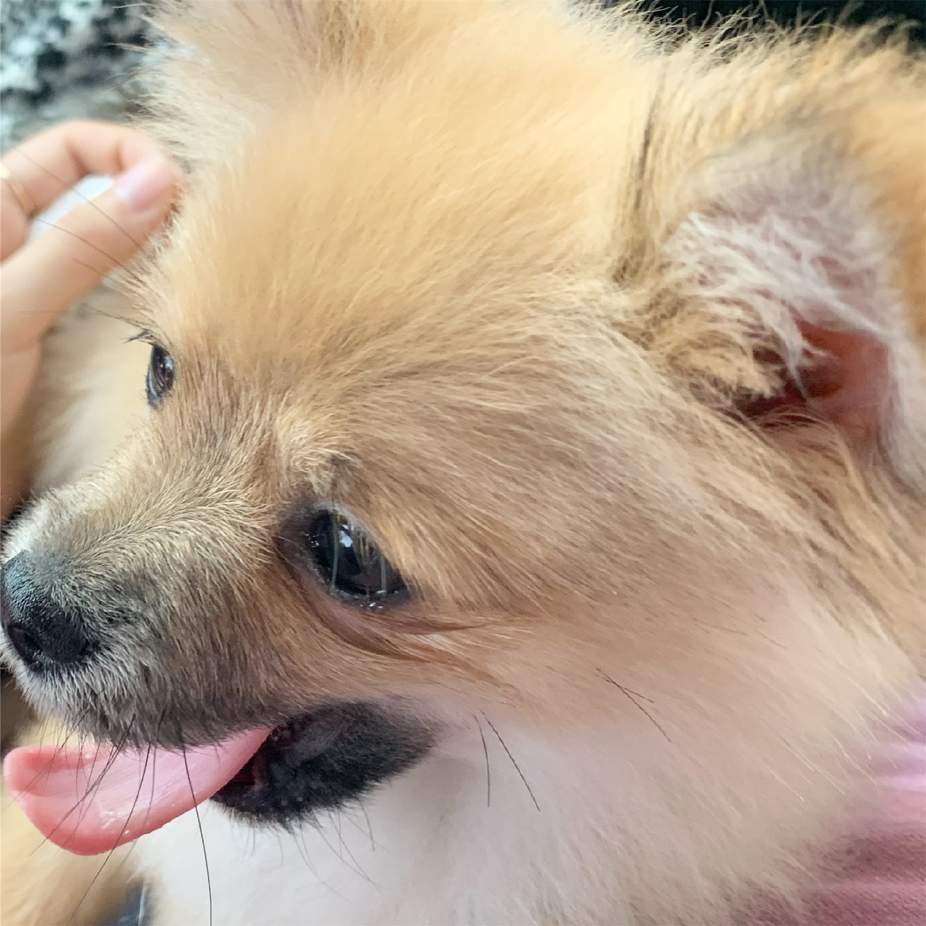 곤지암-송일/짜장이 한달 후기