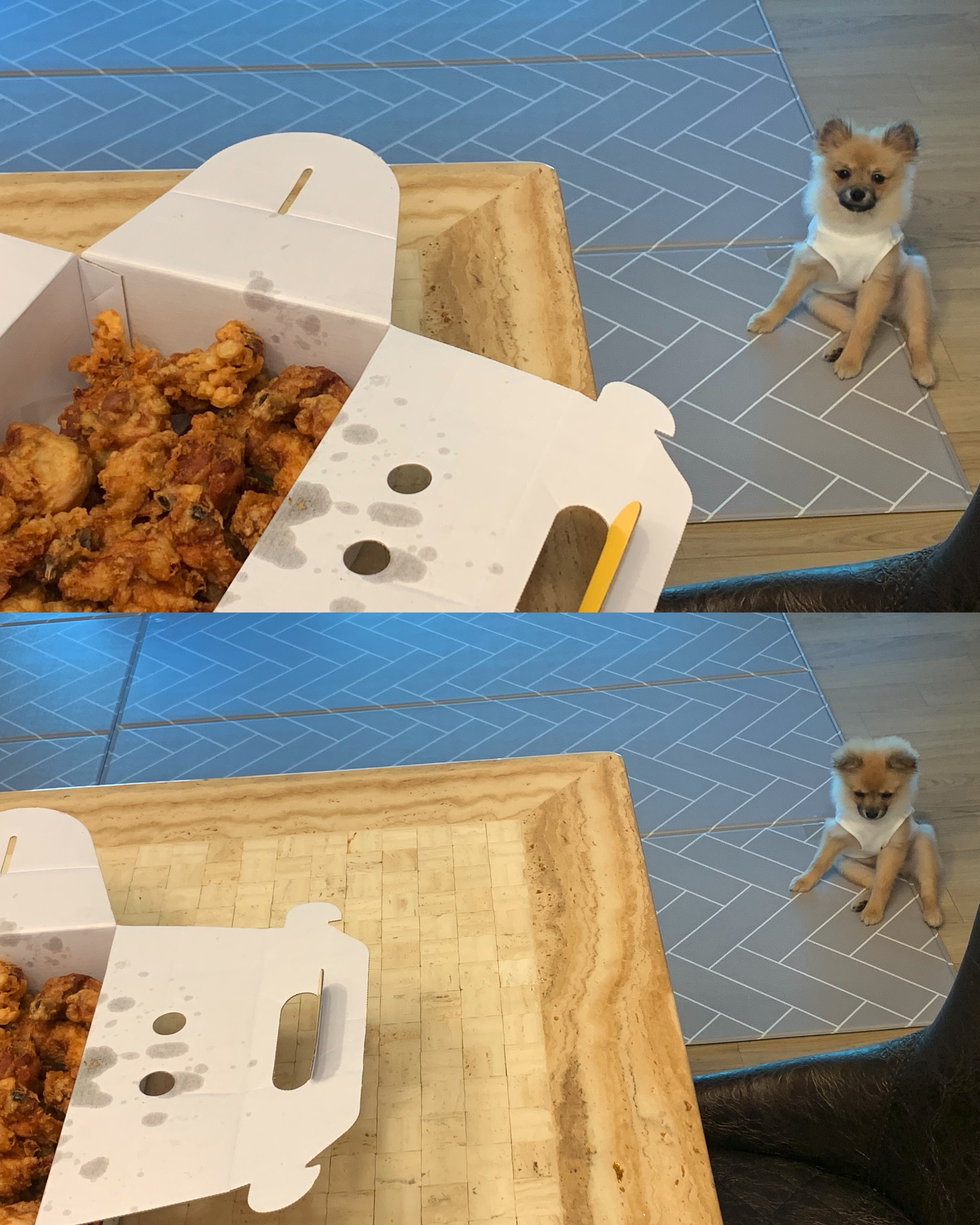 곤지암-송일/짜장이 한달 후기