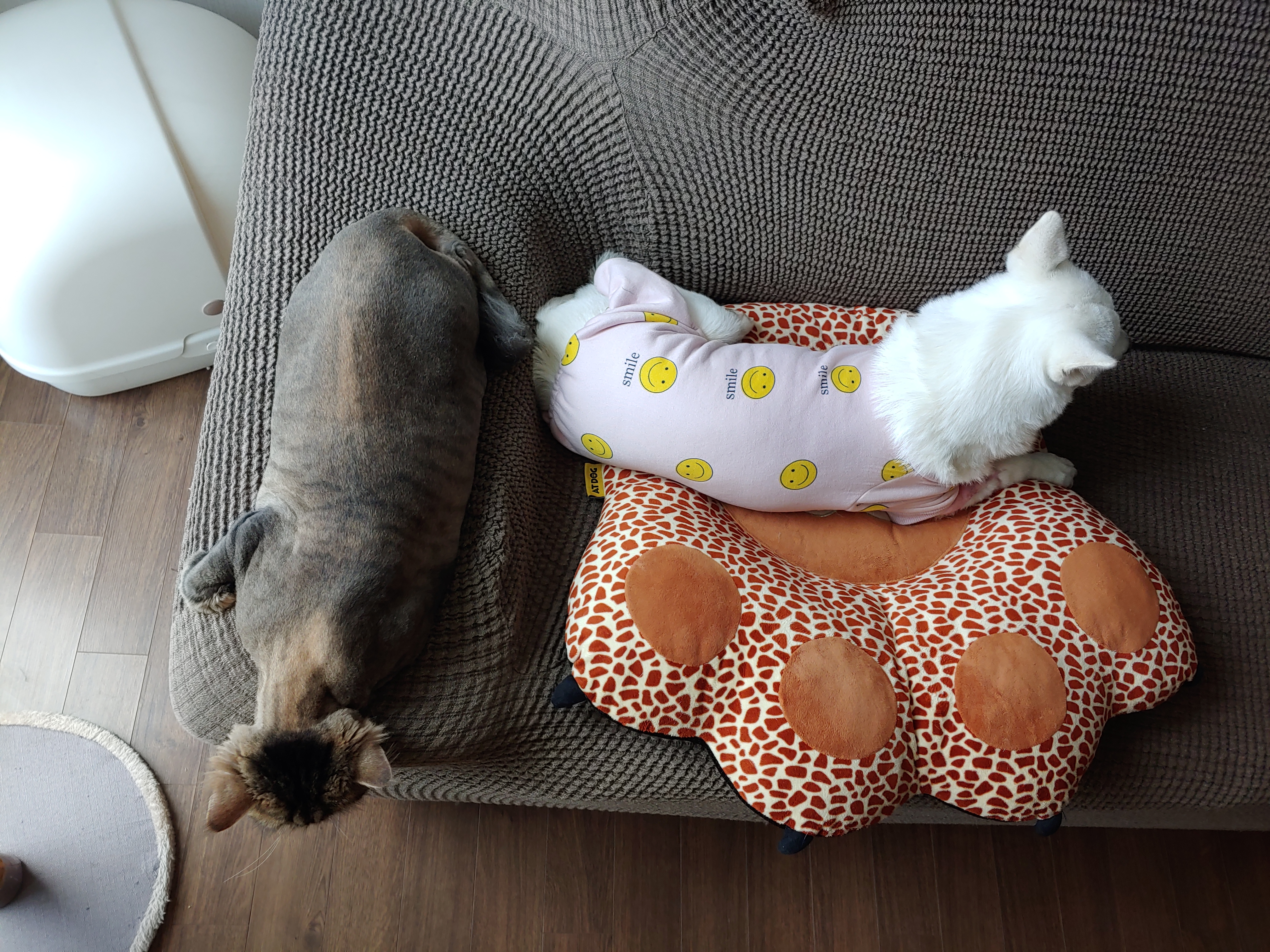 솜사탕같은 구름이~