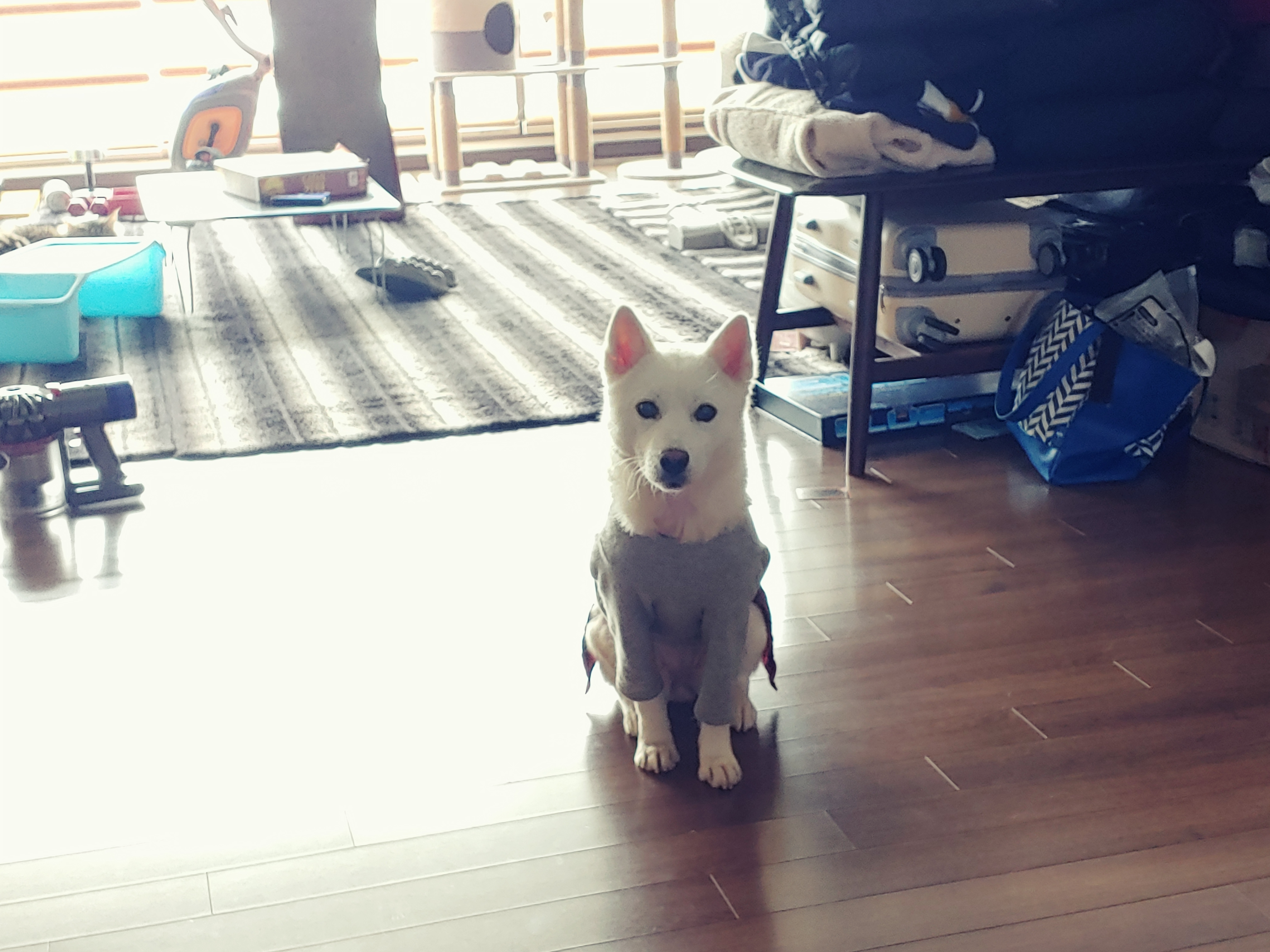 솜사탕같은 구름이~