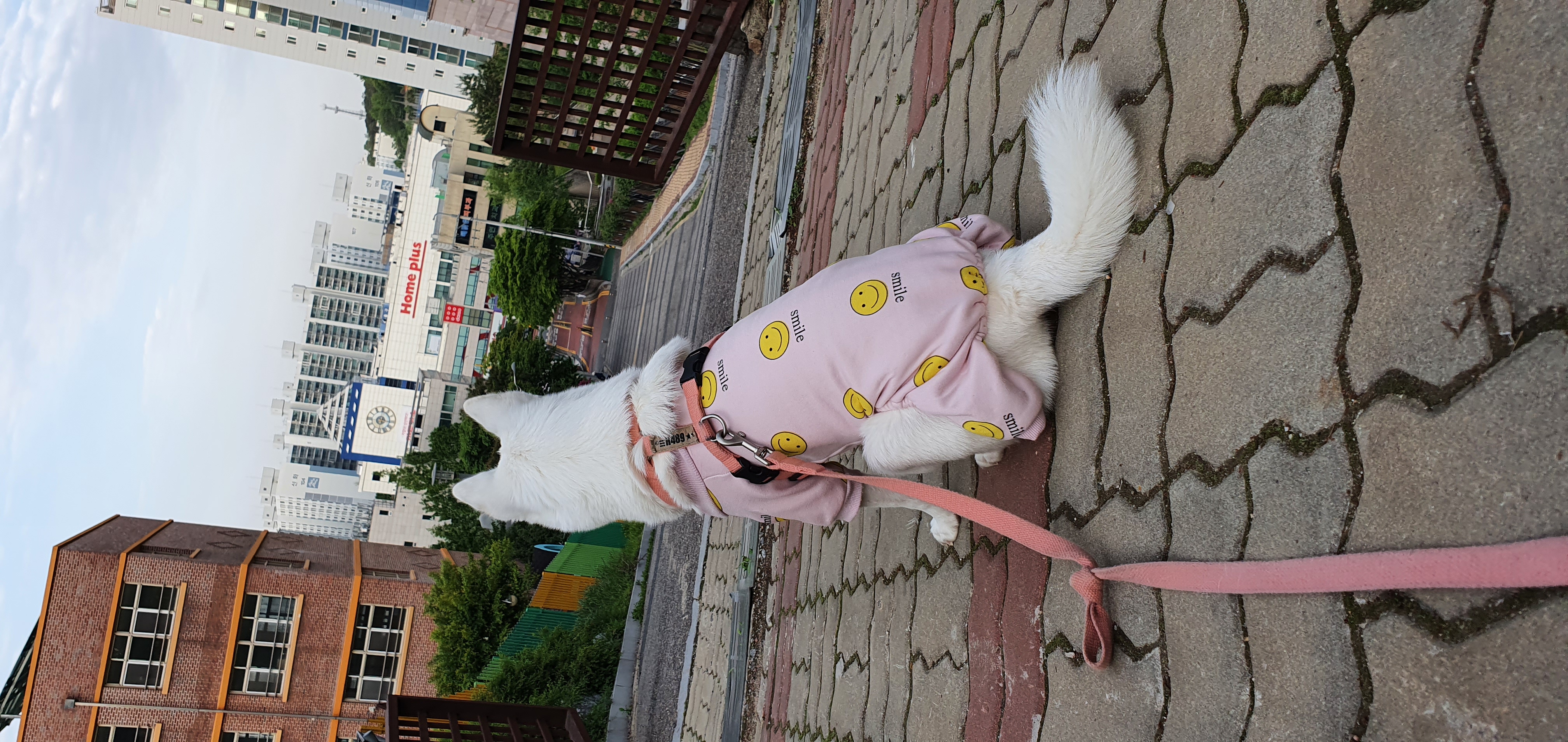 솜사탕같은 구름이~