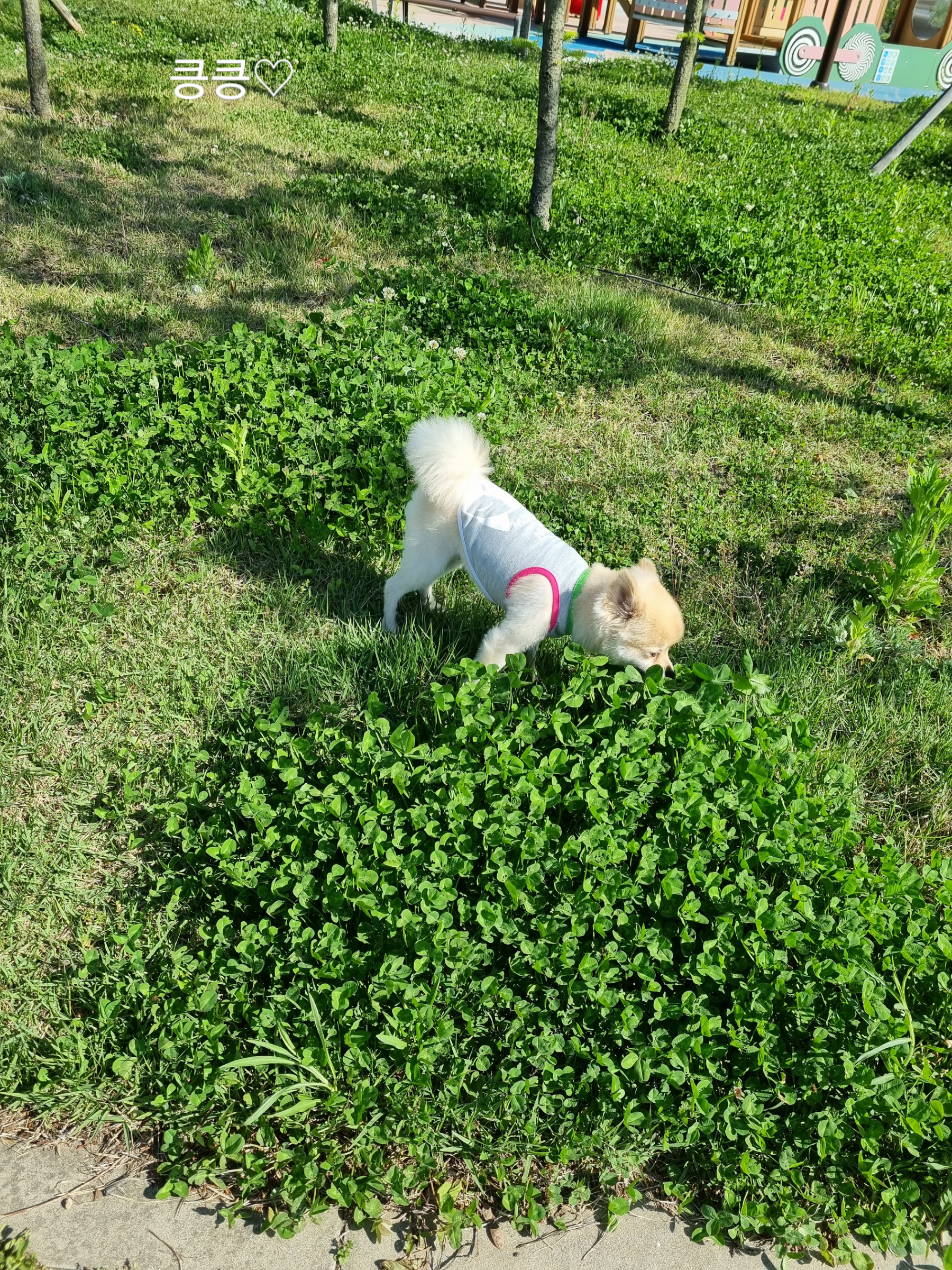 달이(온새)의 한달차 이야기~♡