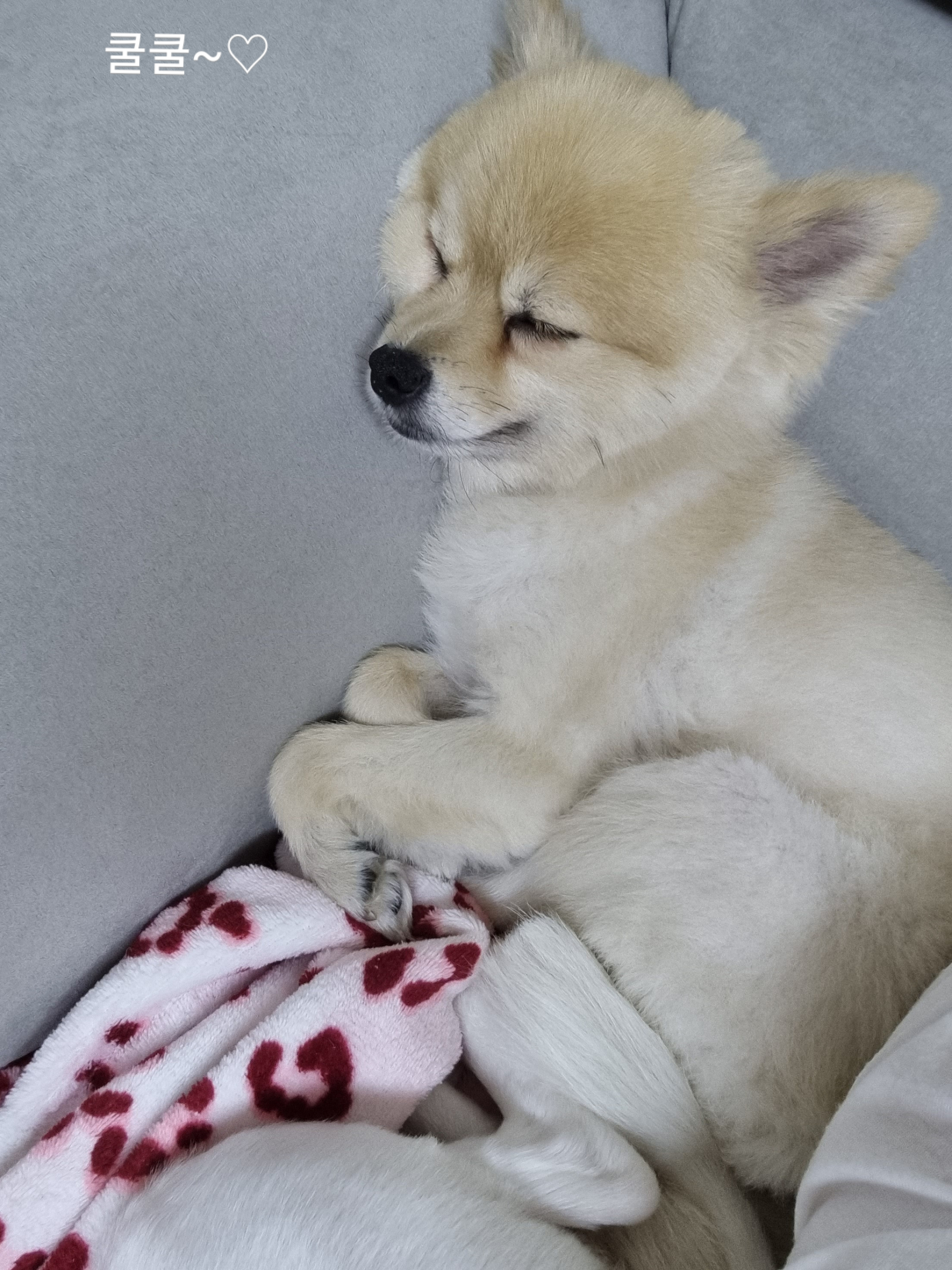 달이(온새)의 한달차 이야기~♡