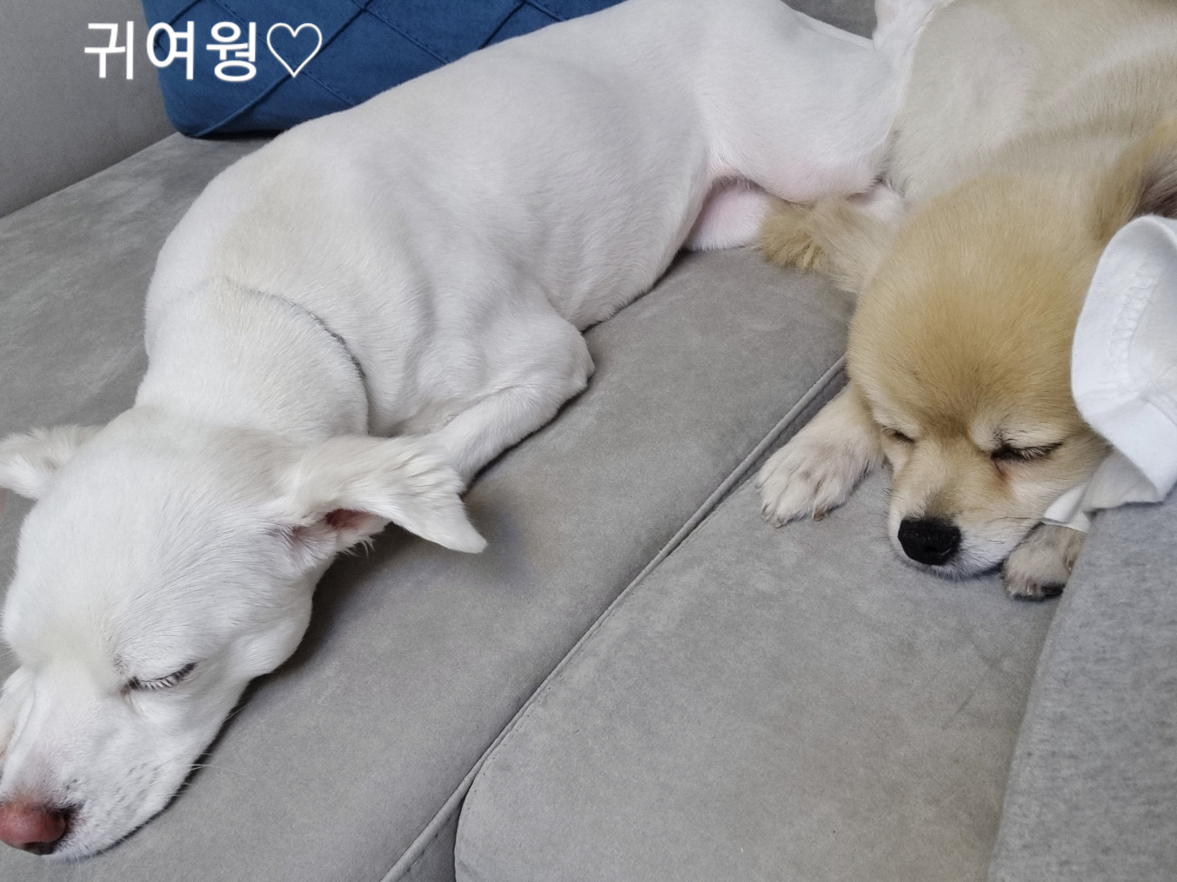 달이(온새)의 한달차 이야기~♡