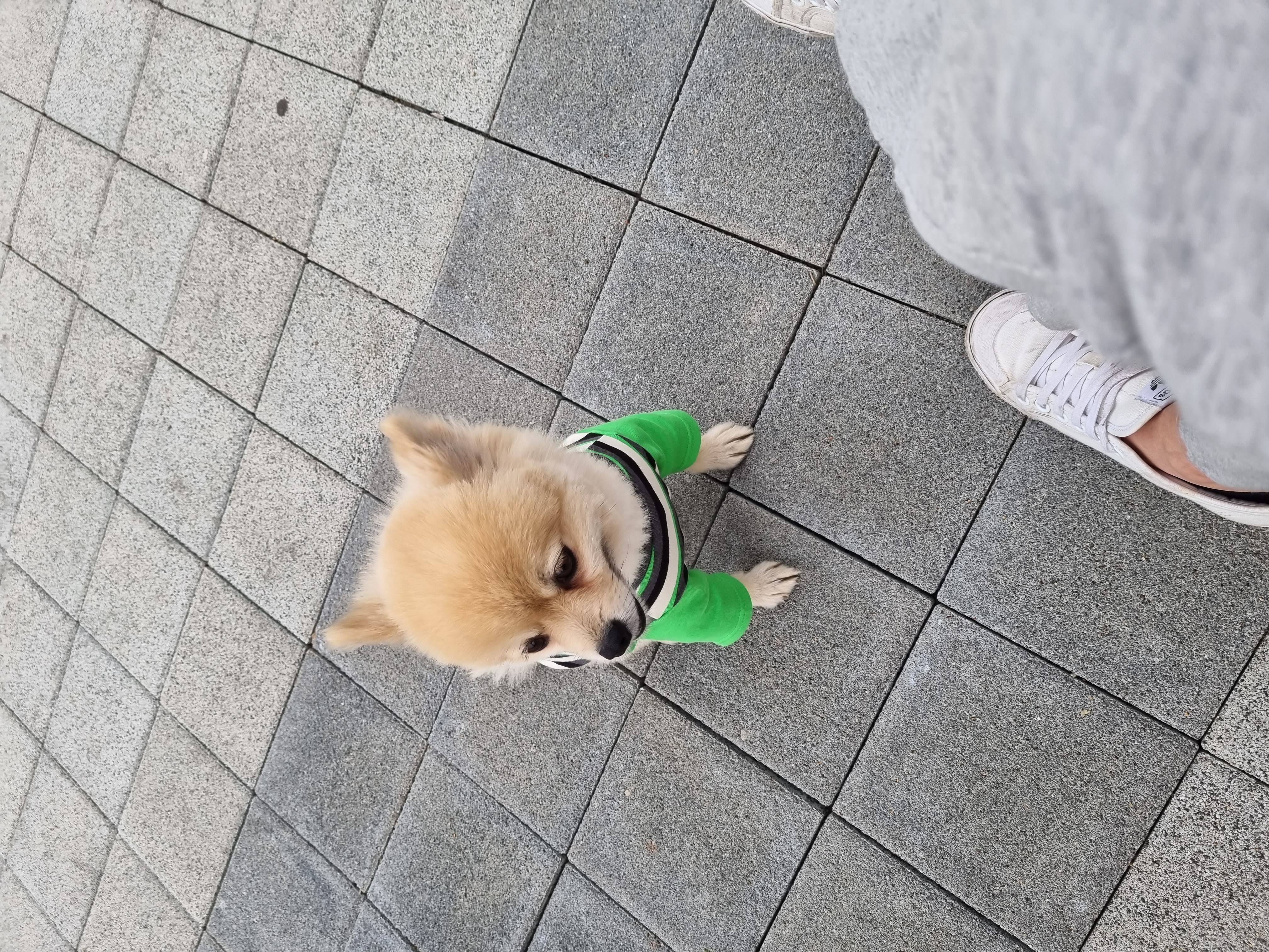 달이(온새)의 한달차 이야기~♡